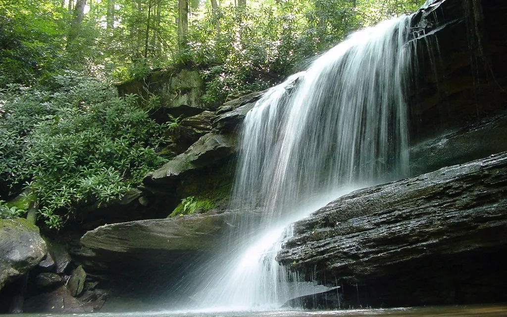 Ohiopyle State Park