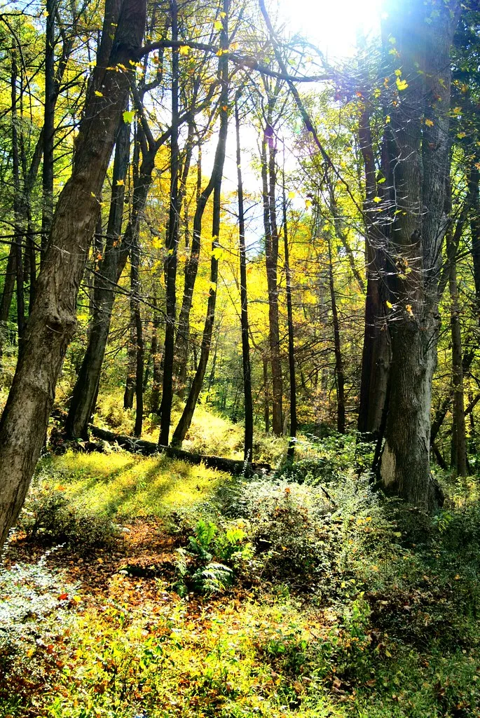 Worthington Campground