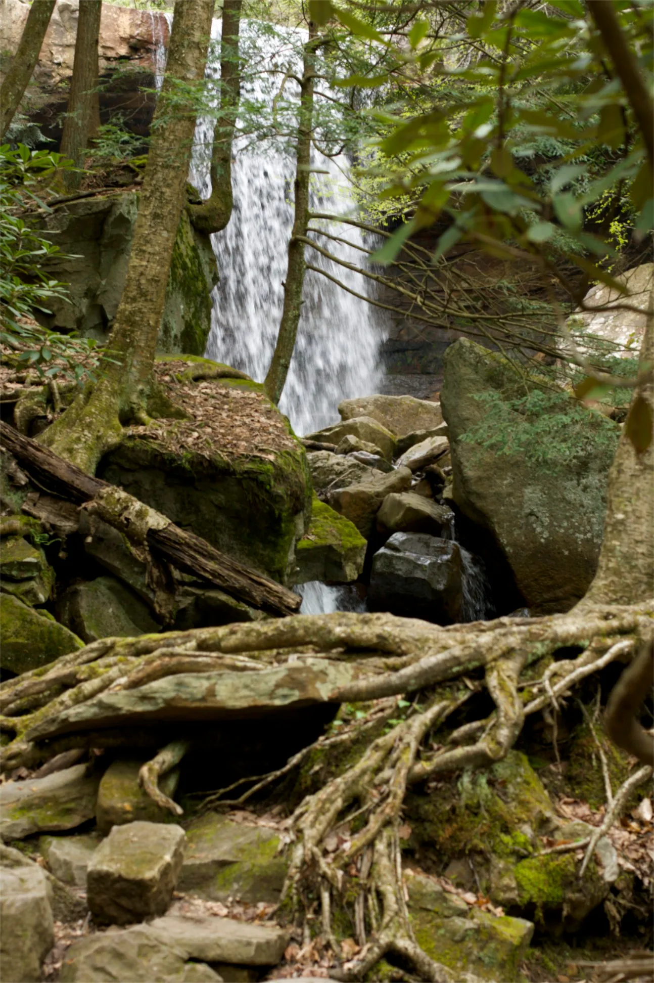 Ohiopyle State Park