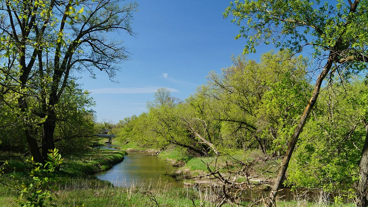 Turtle River Campground