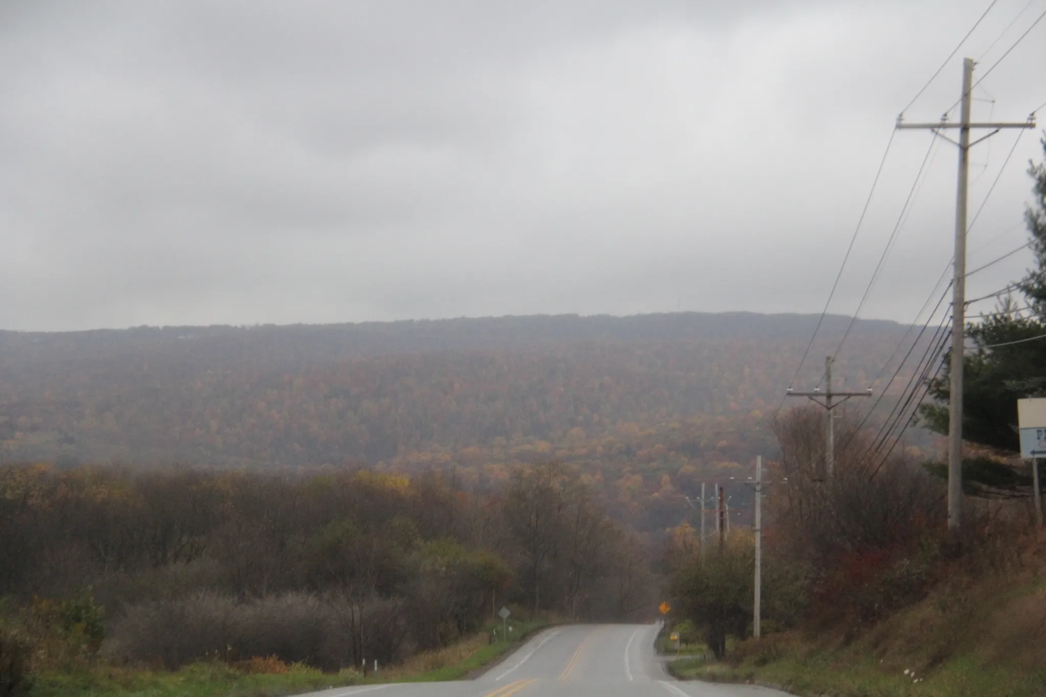 Laurel Hill State Park