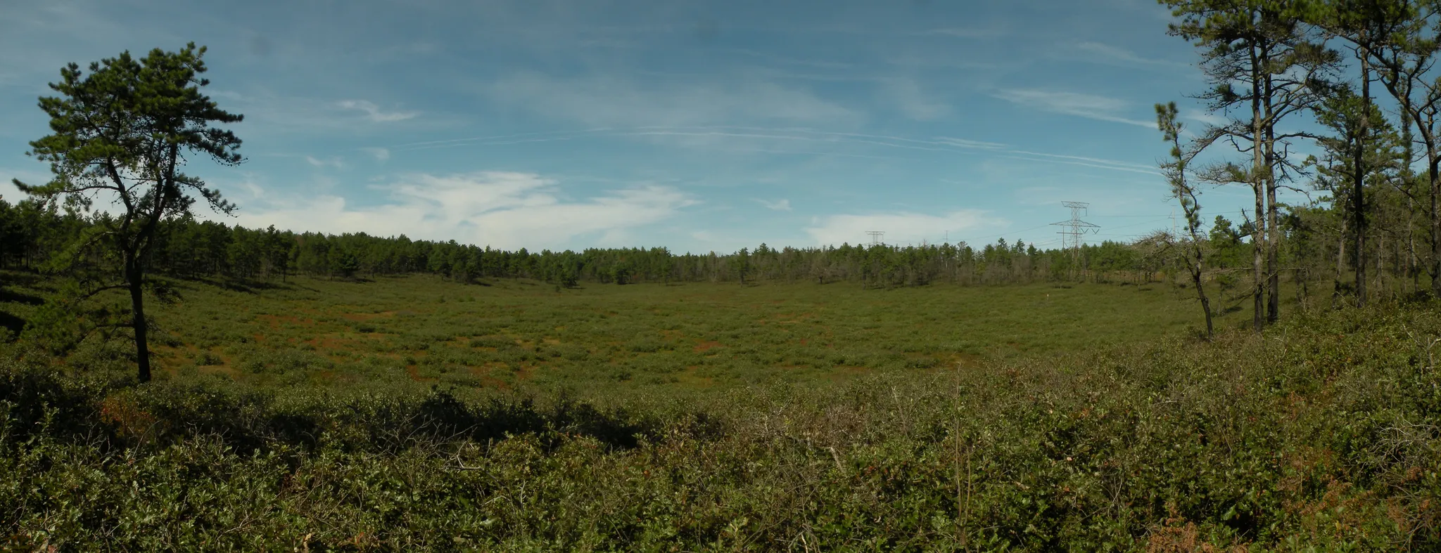 Myles Standish State Forest