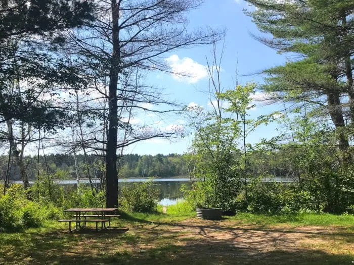 Tomahawk Creek Flooding State Forest Campground