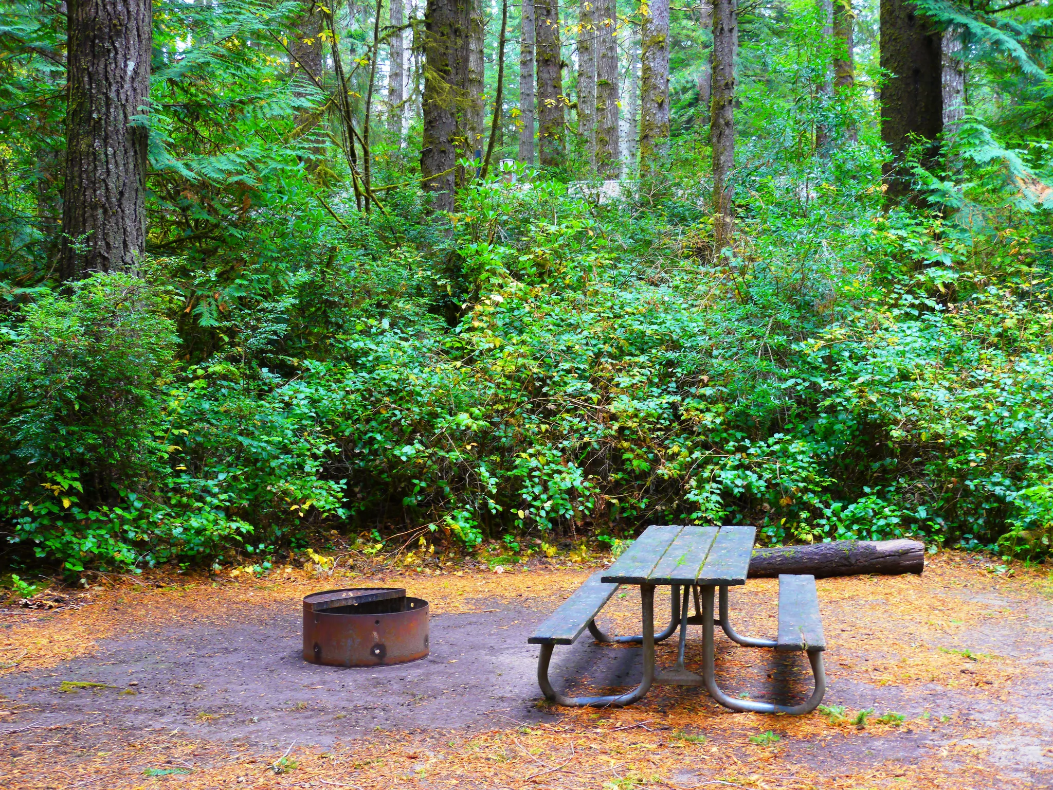 Jessie M. Honeyman Memorial State Park