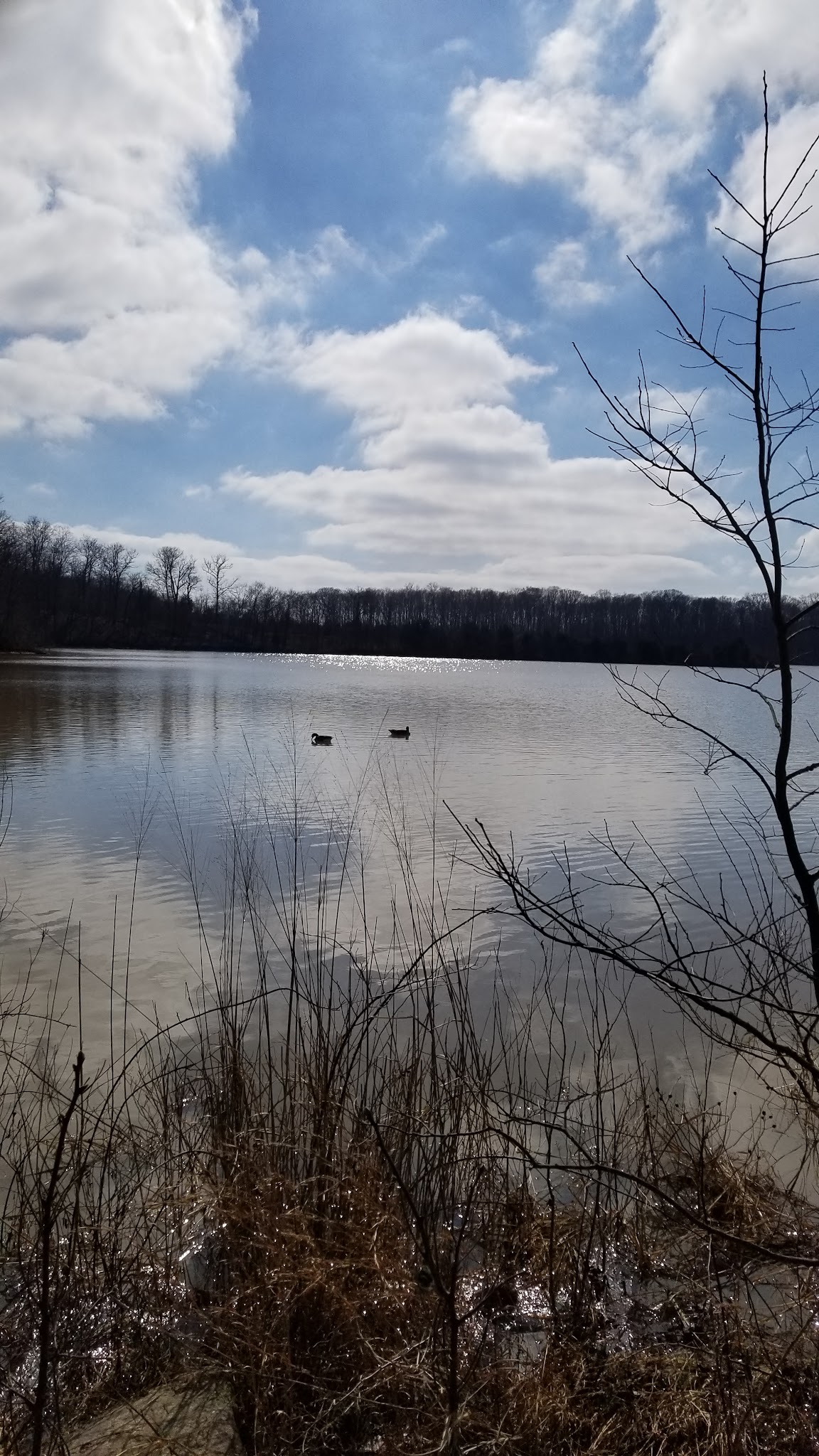 A.W. Marion Campground