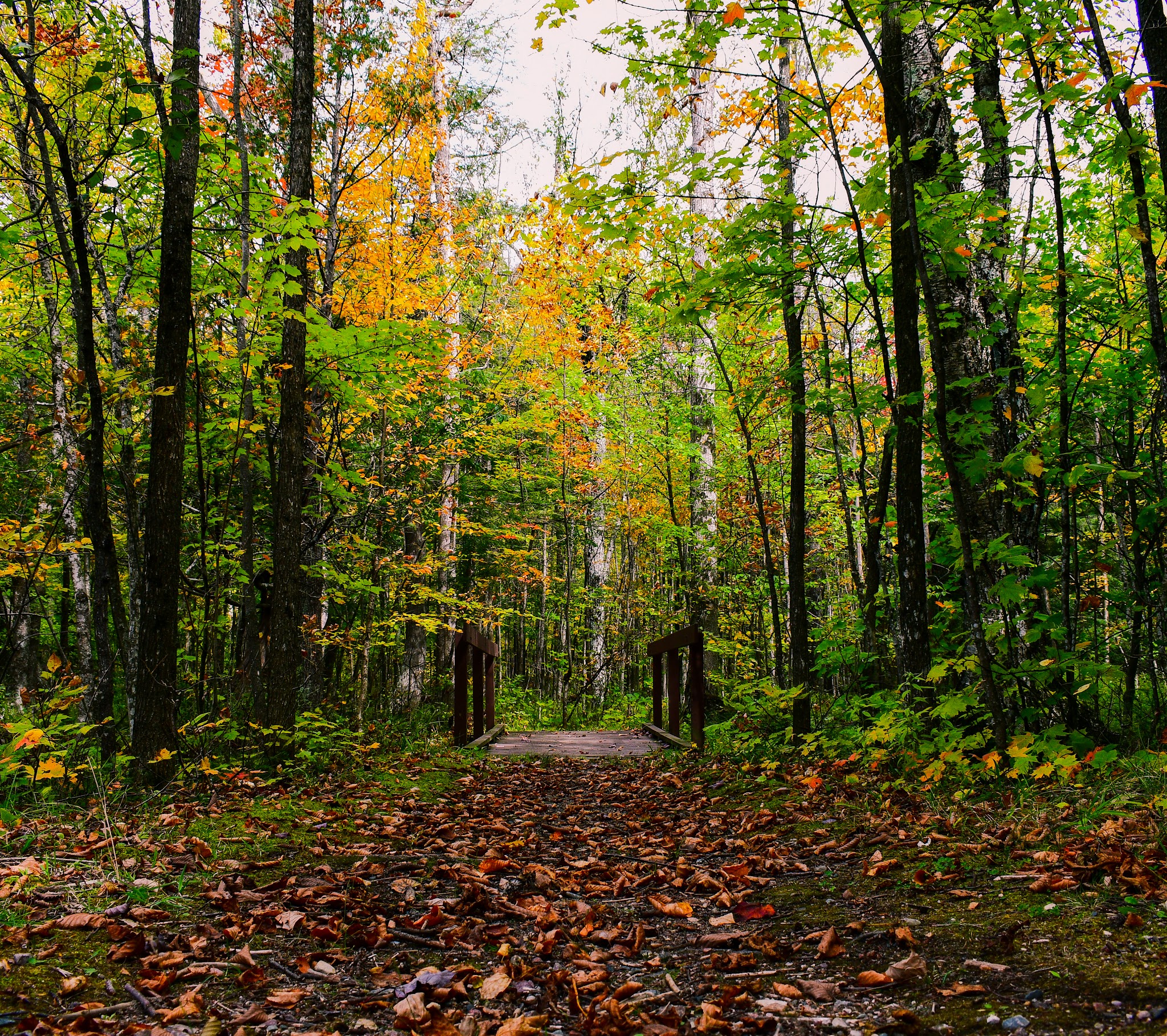 Ada Lake Recreation Area