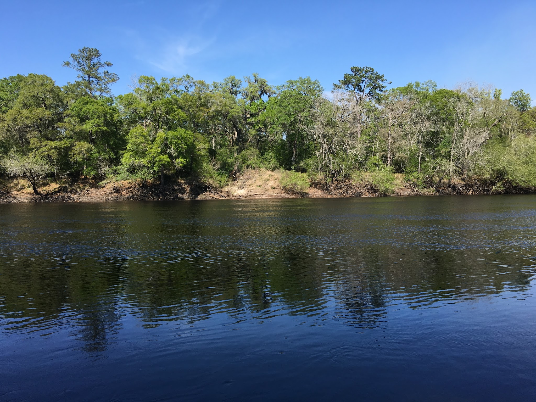 Adams Tract Campground