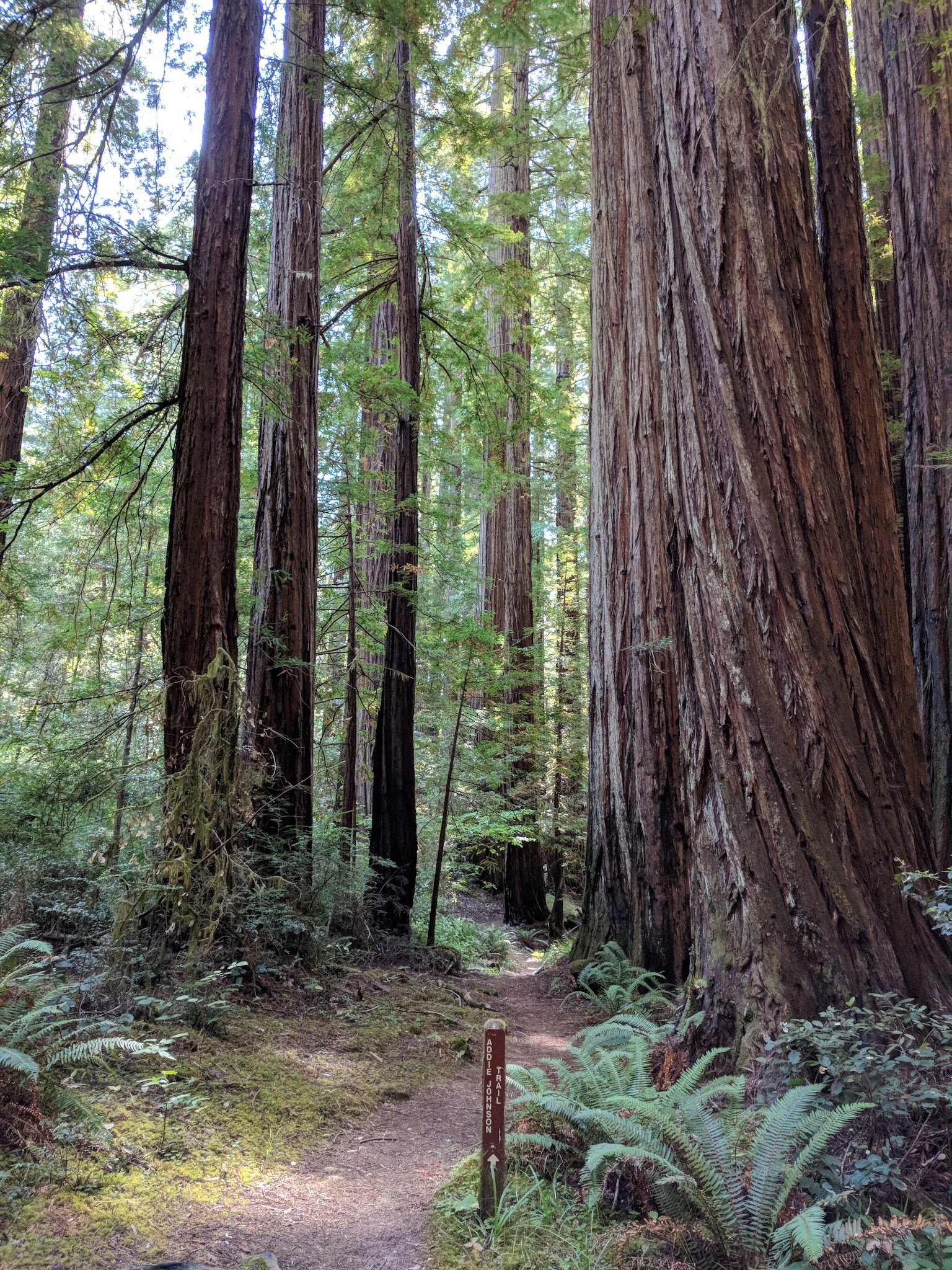 Johnson Trail Campground
