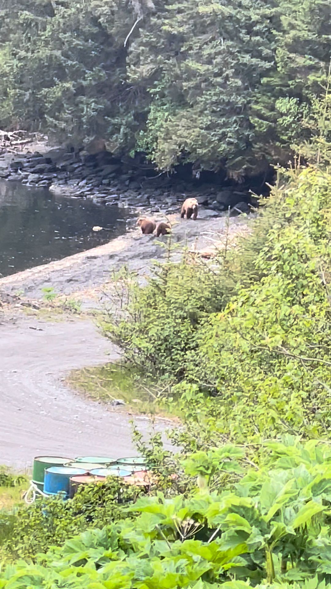 Afognak Island State Park