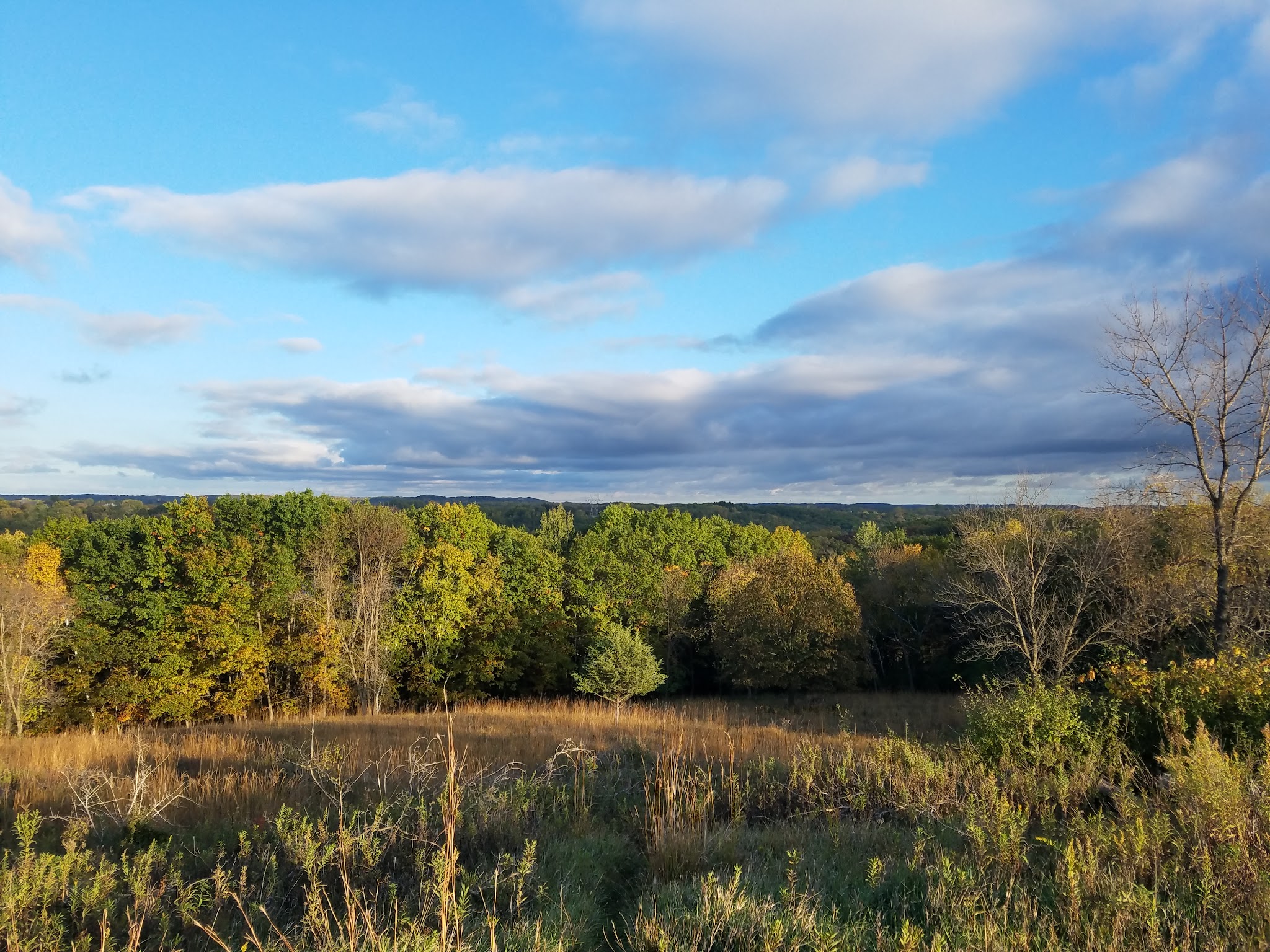 Wall Tent Campground