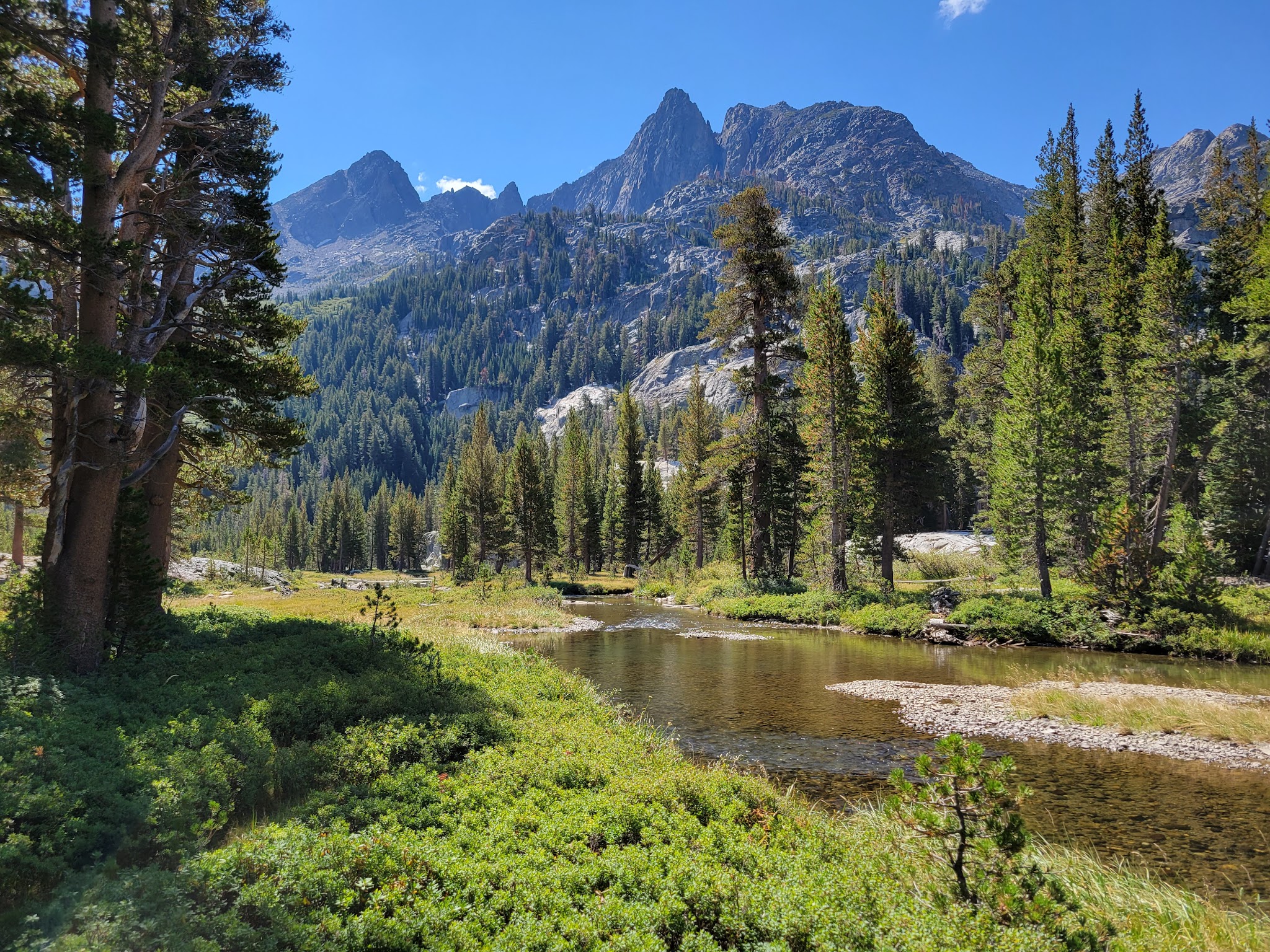 Agnew Meadows Group Camp