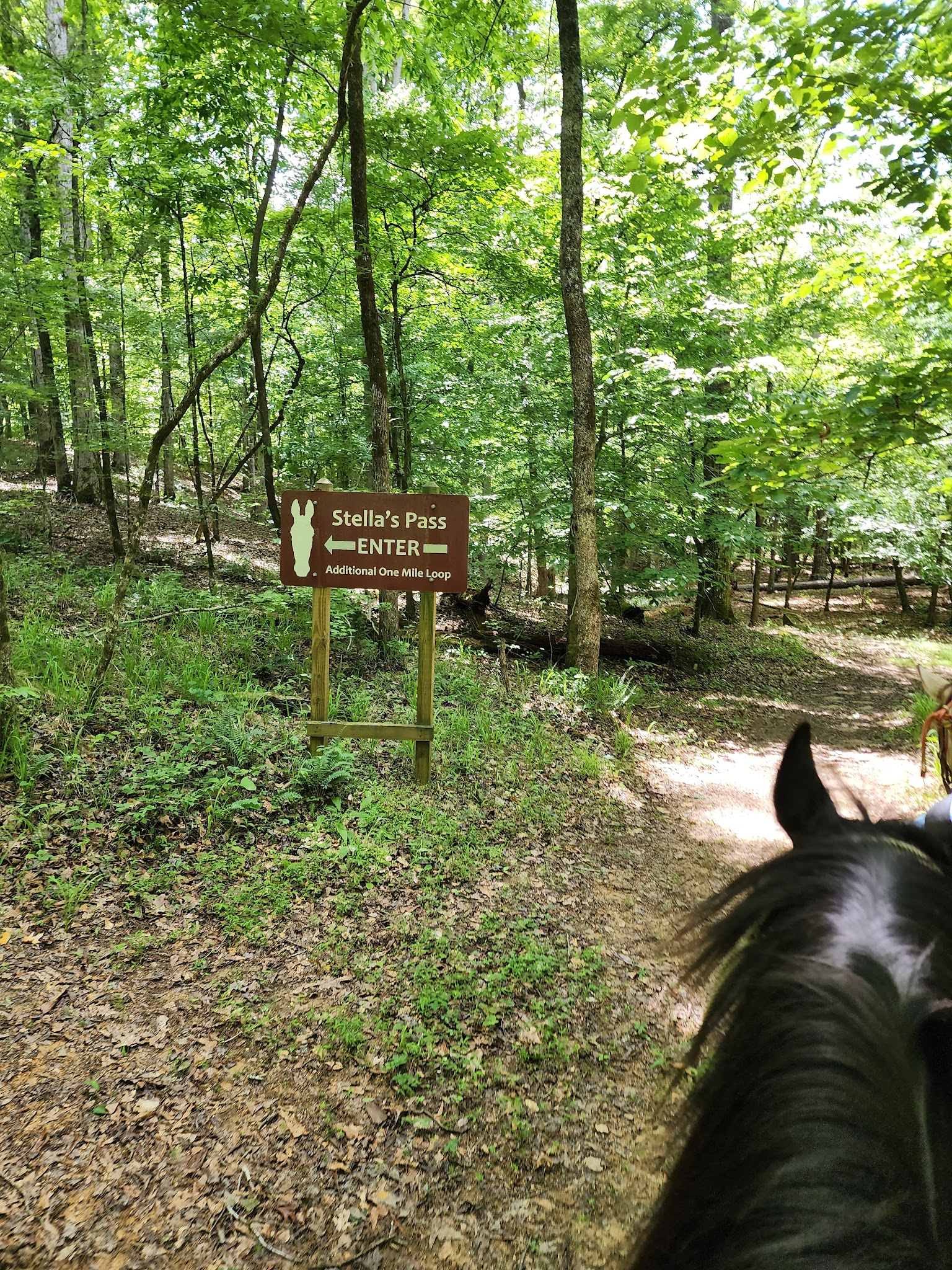 A. H. Stephens State Historic Park