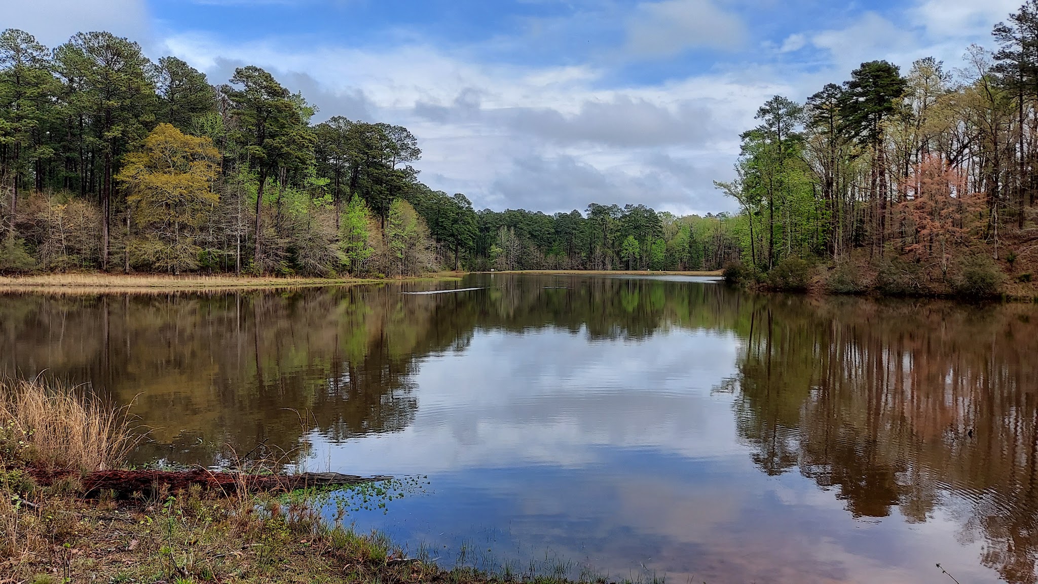 A. H. Stephens State Historic Park