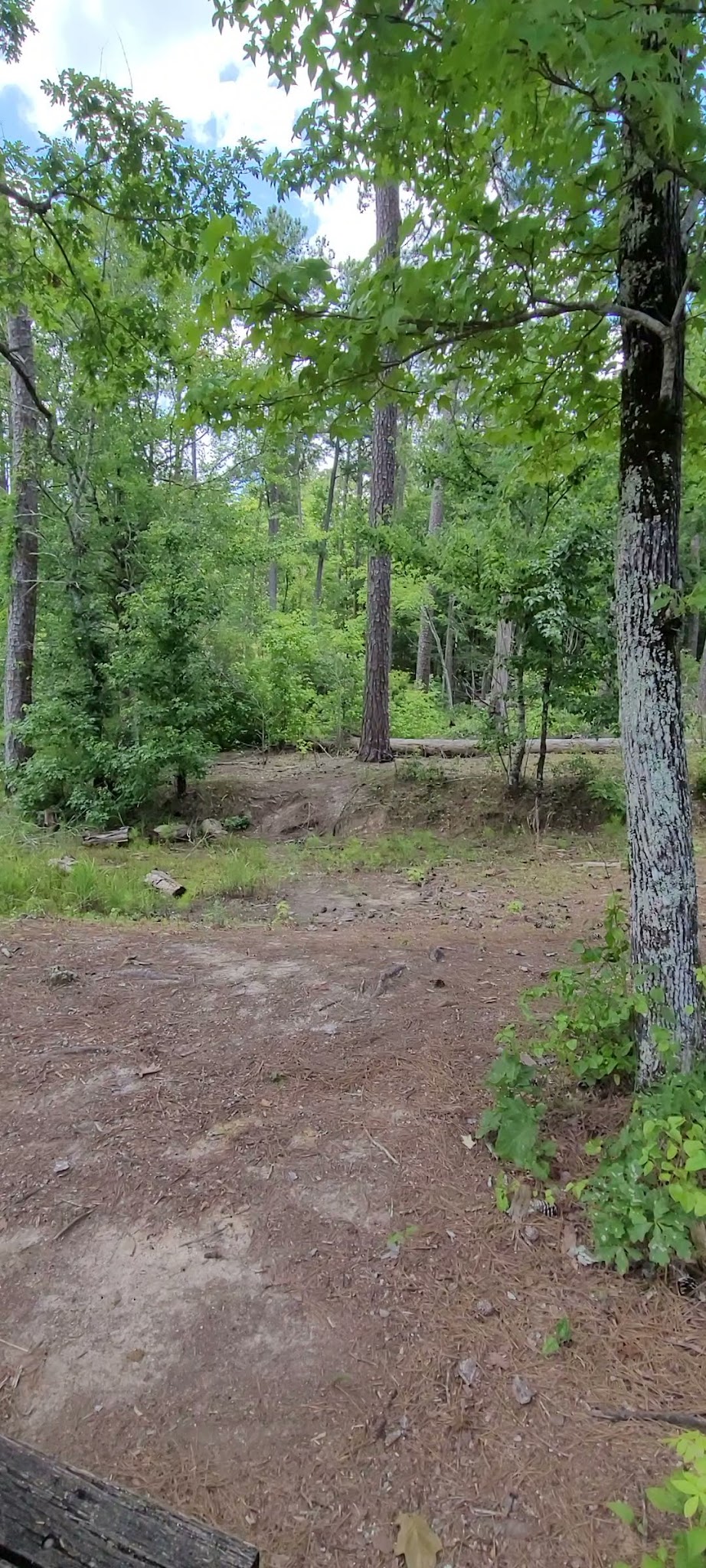 A. H. Stephens State Historic Park