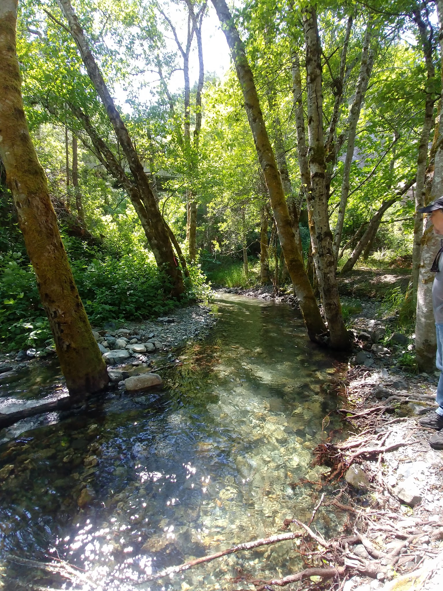 Aikens Creek West Campground