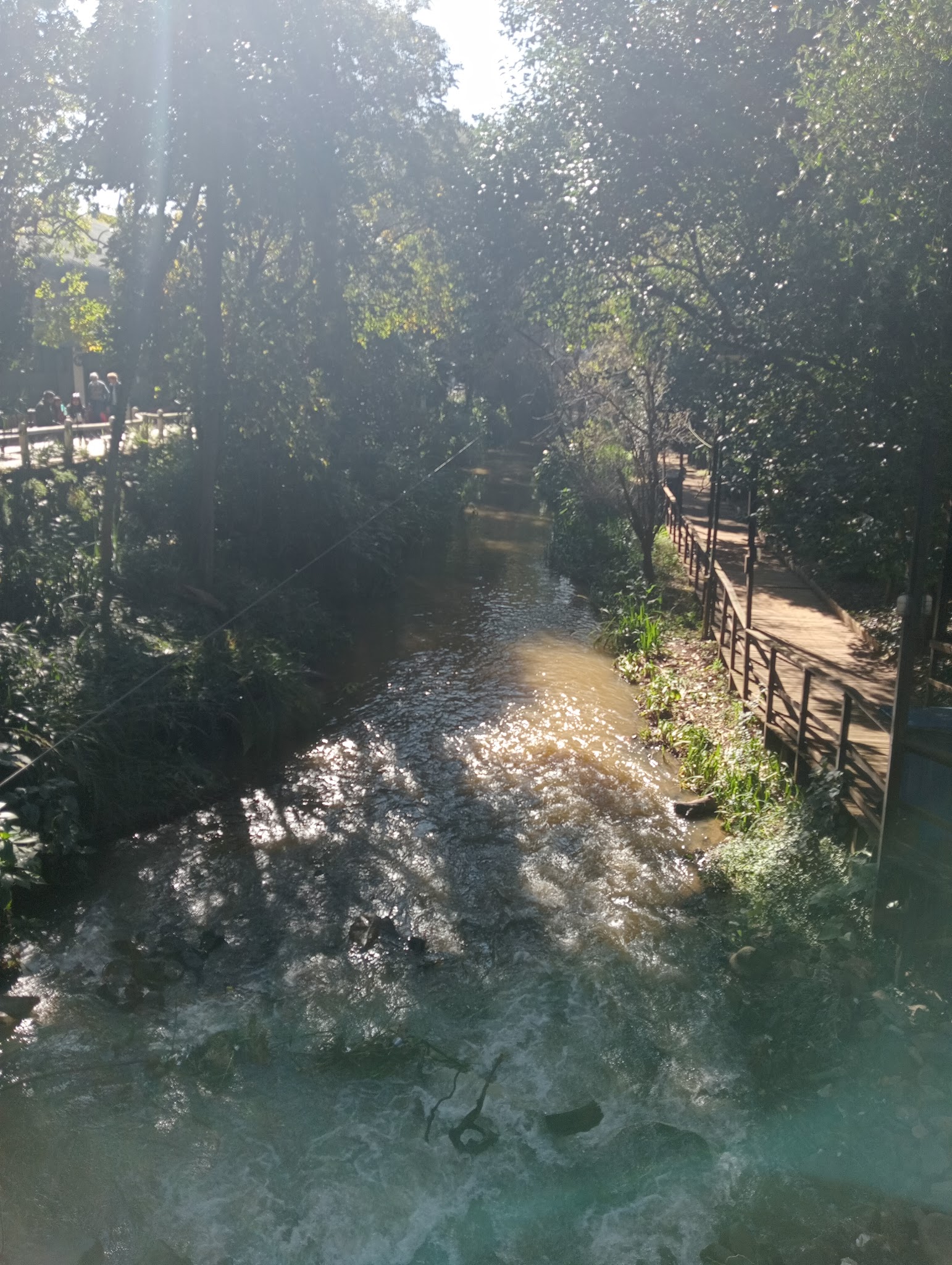 Aikens Creek West Campground