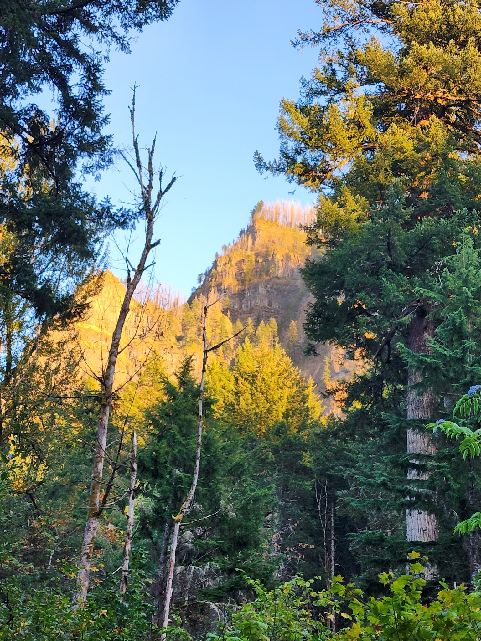 Ainsworth State Park