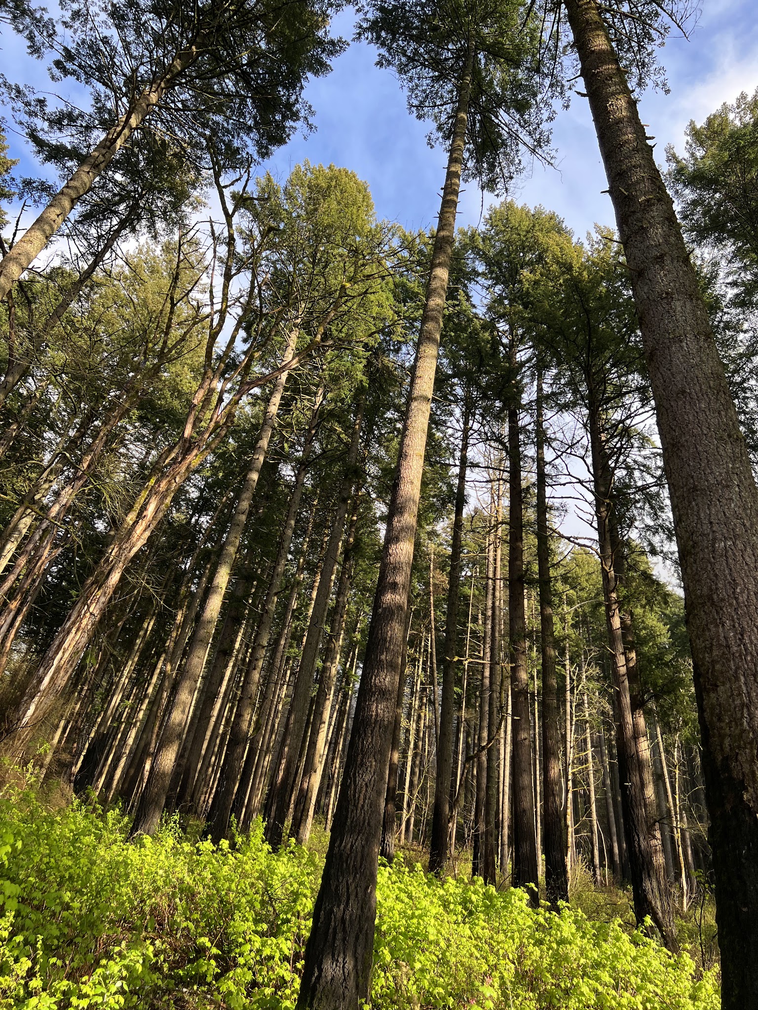 Ainsworth State Park