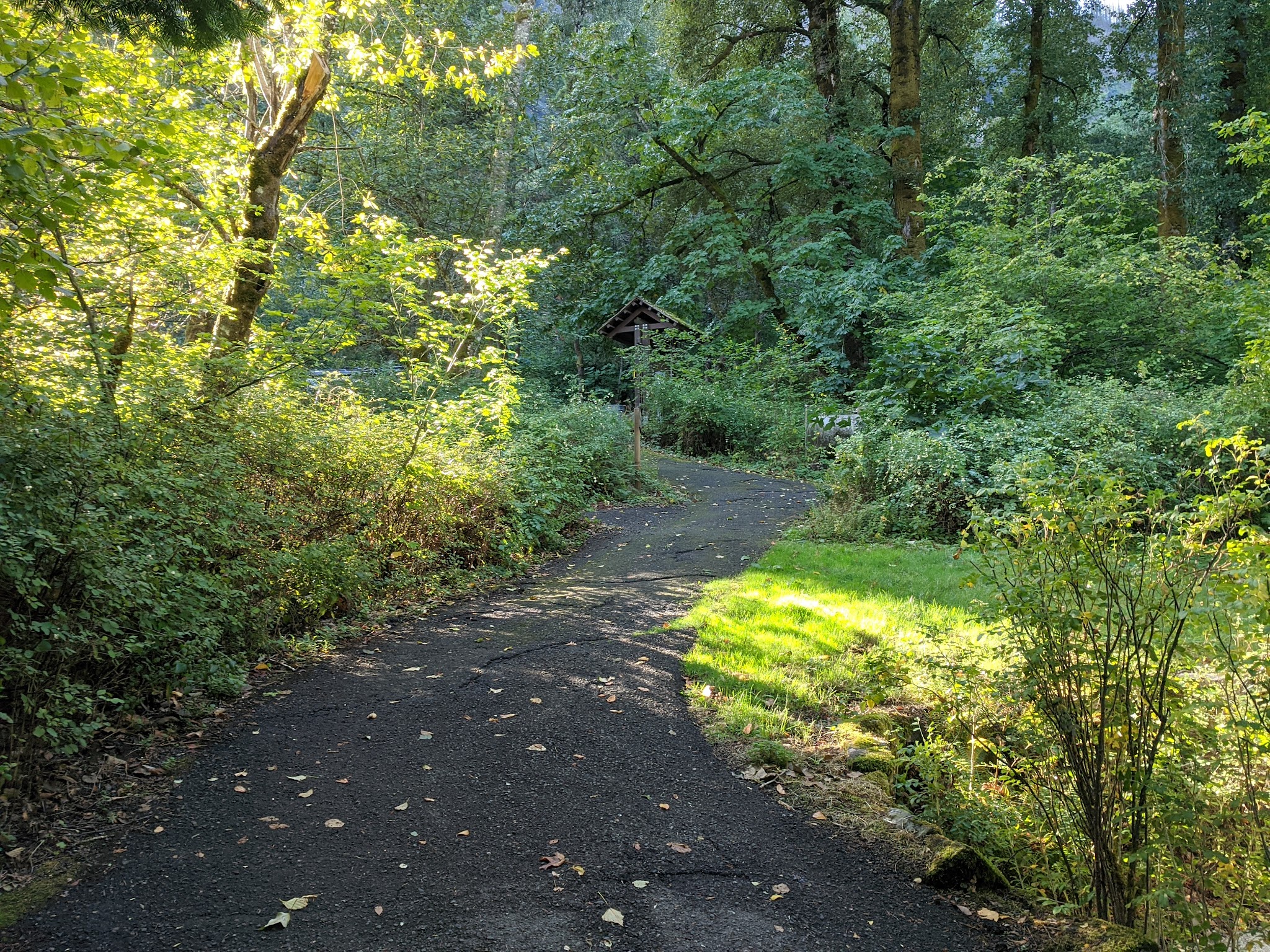 Ainsworth State Park
