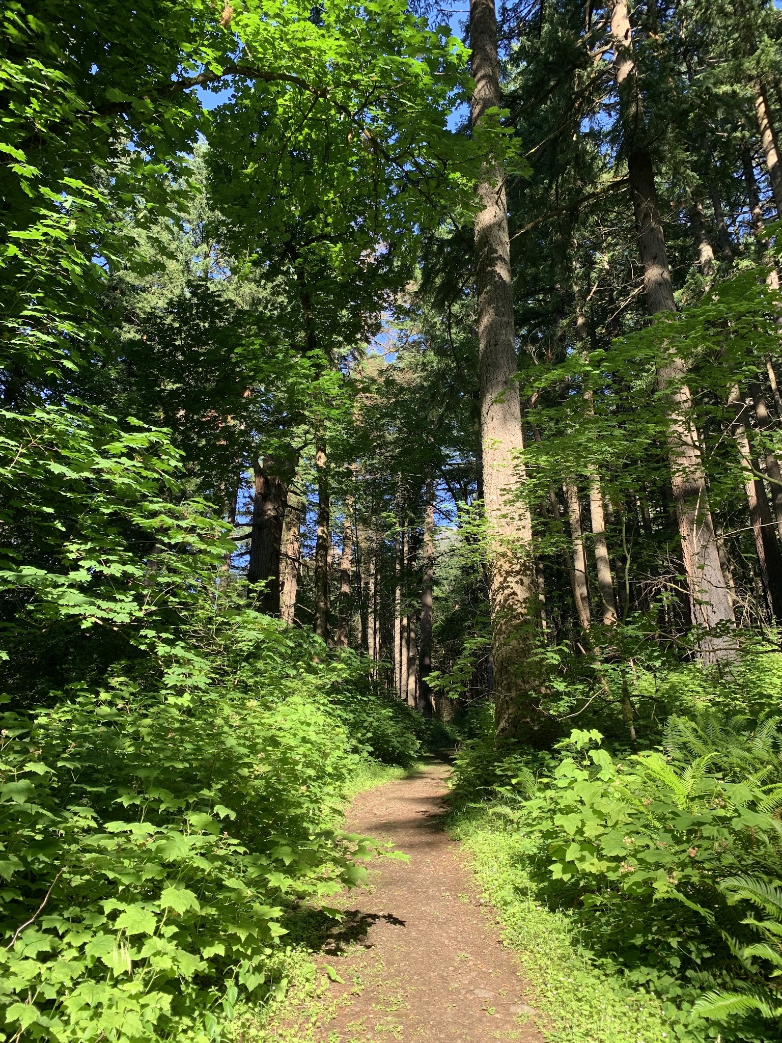 Ainsworth State Park