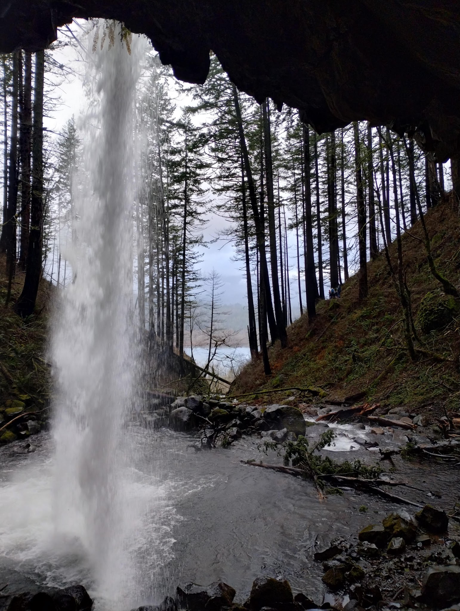 Ainsworth State Park