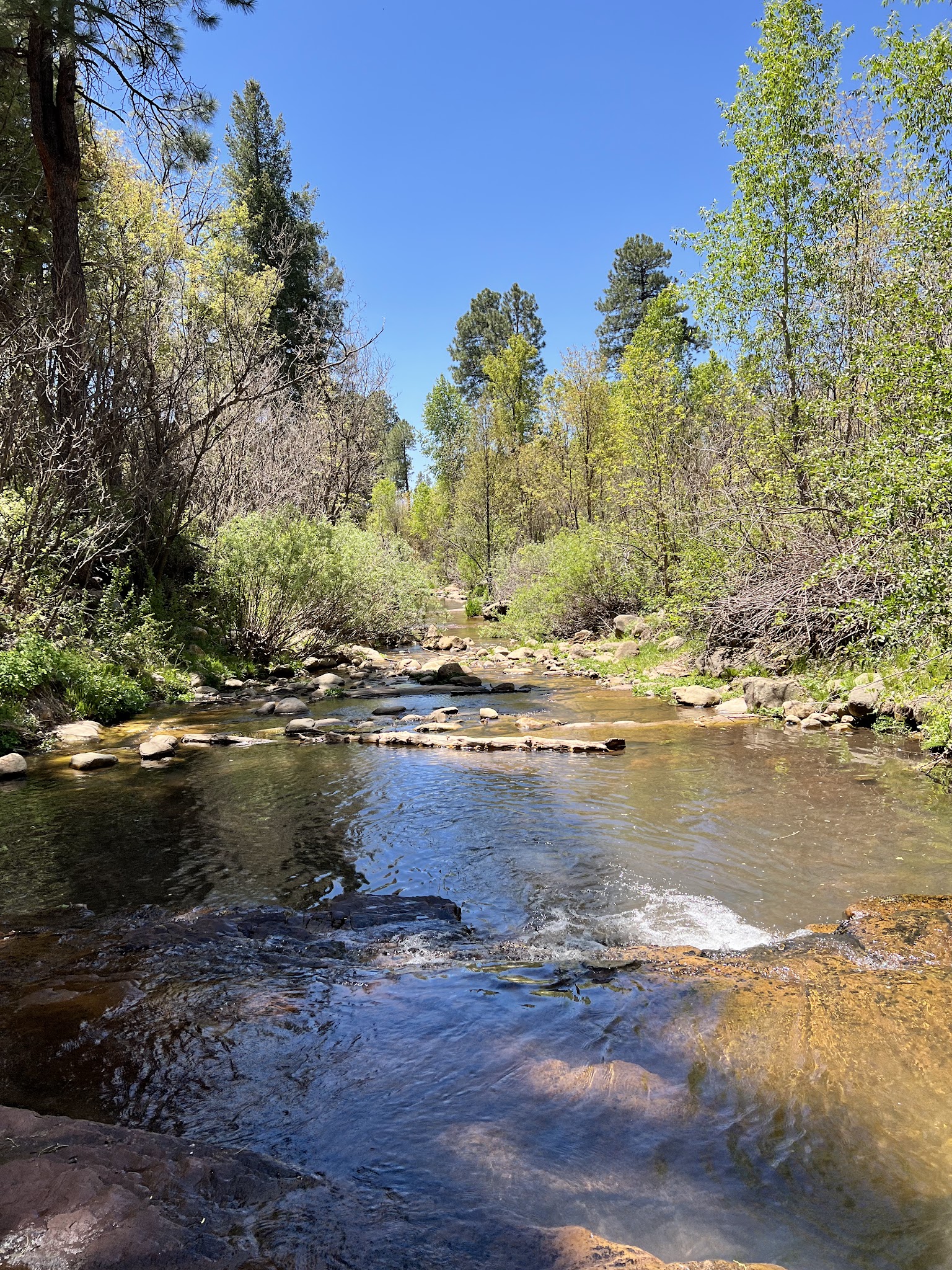 Airplane Flat Campground