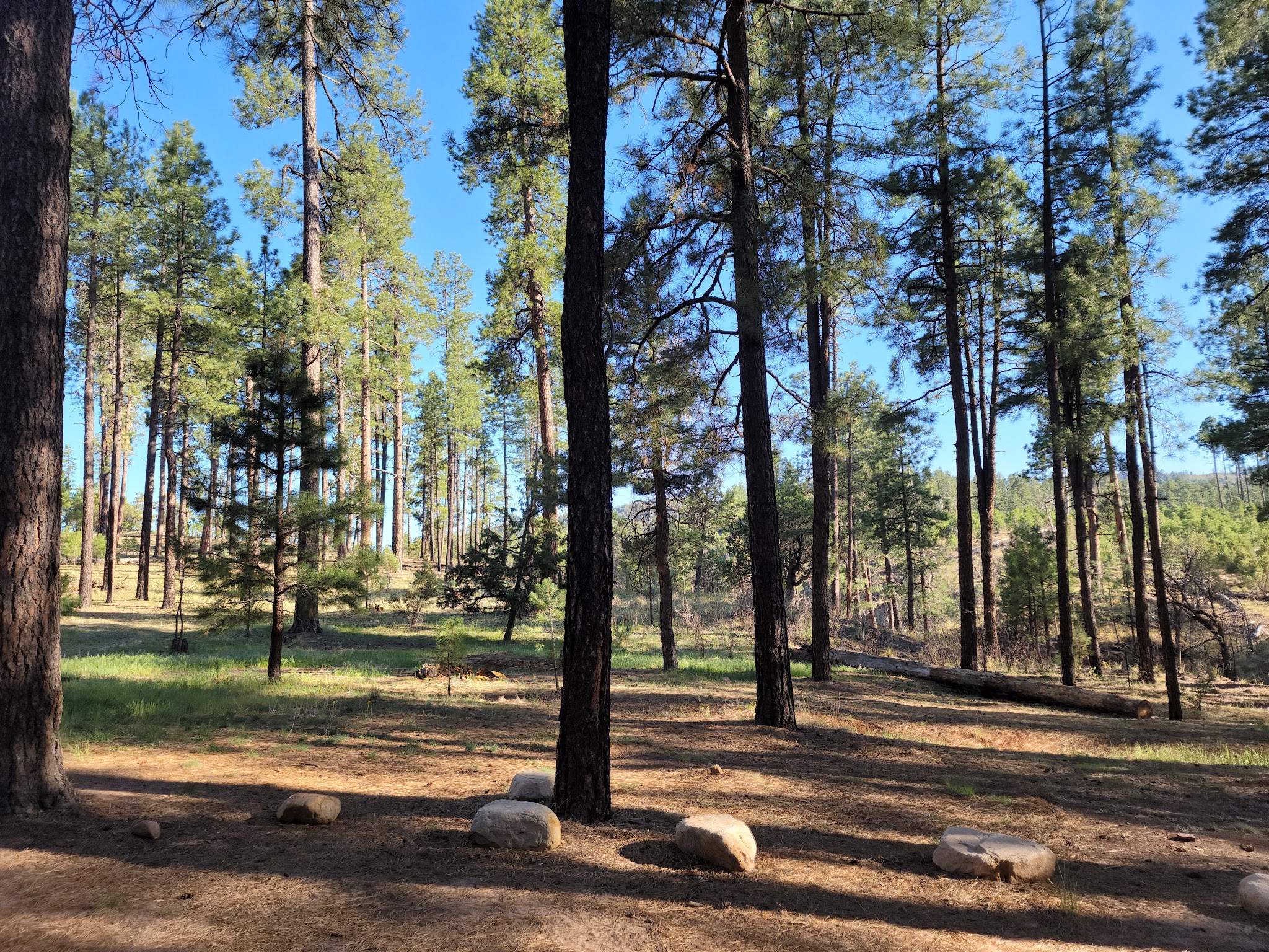 Airplane Flat Campground