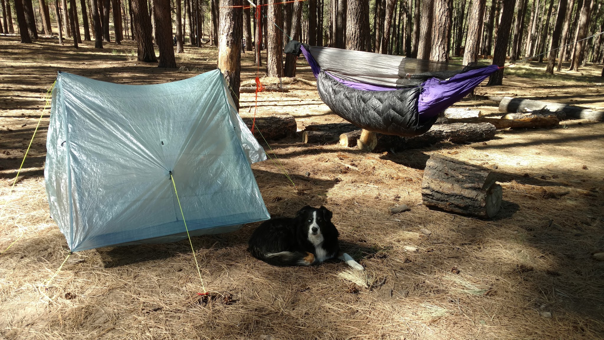Airplane Flat Campground