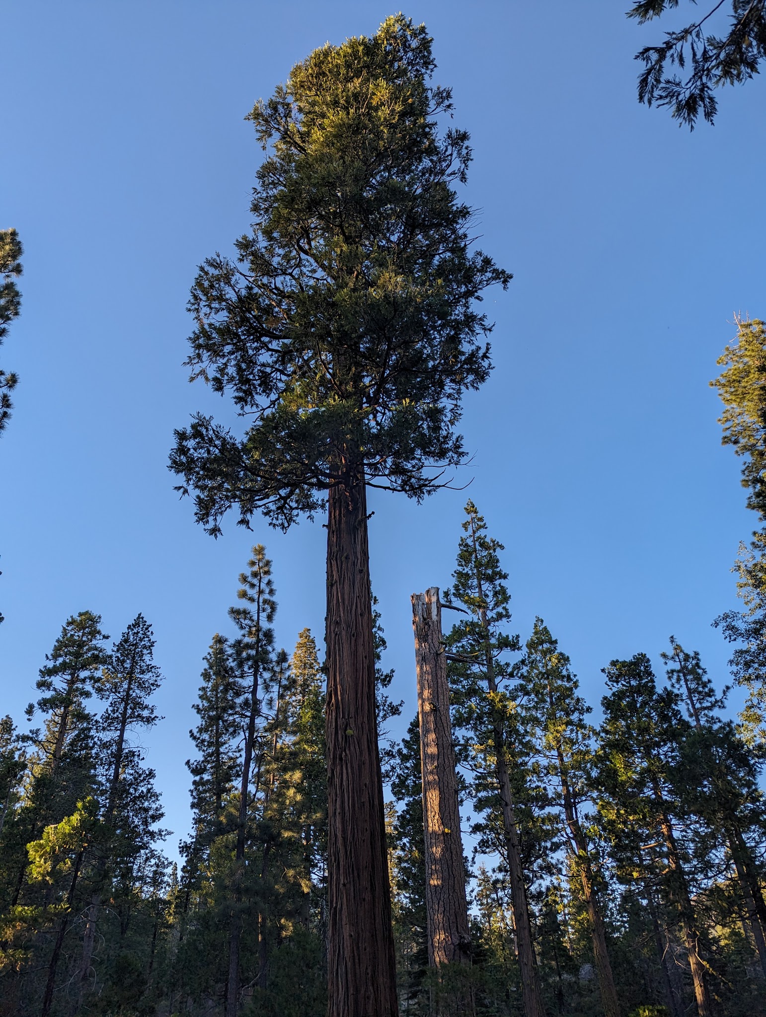Airport Flat Campground