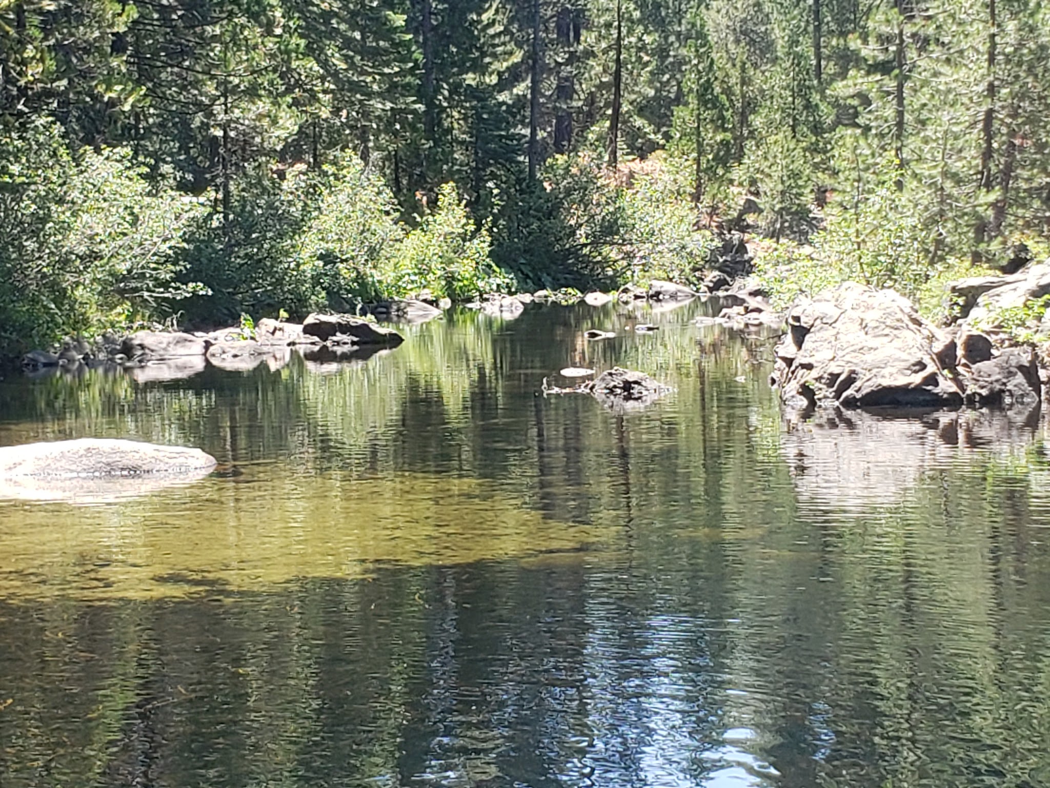Airport Flat Campground