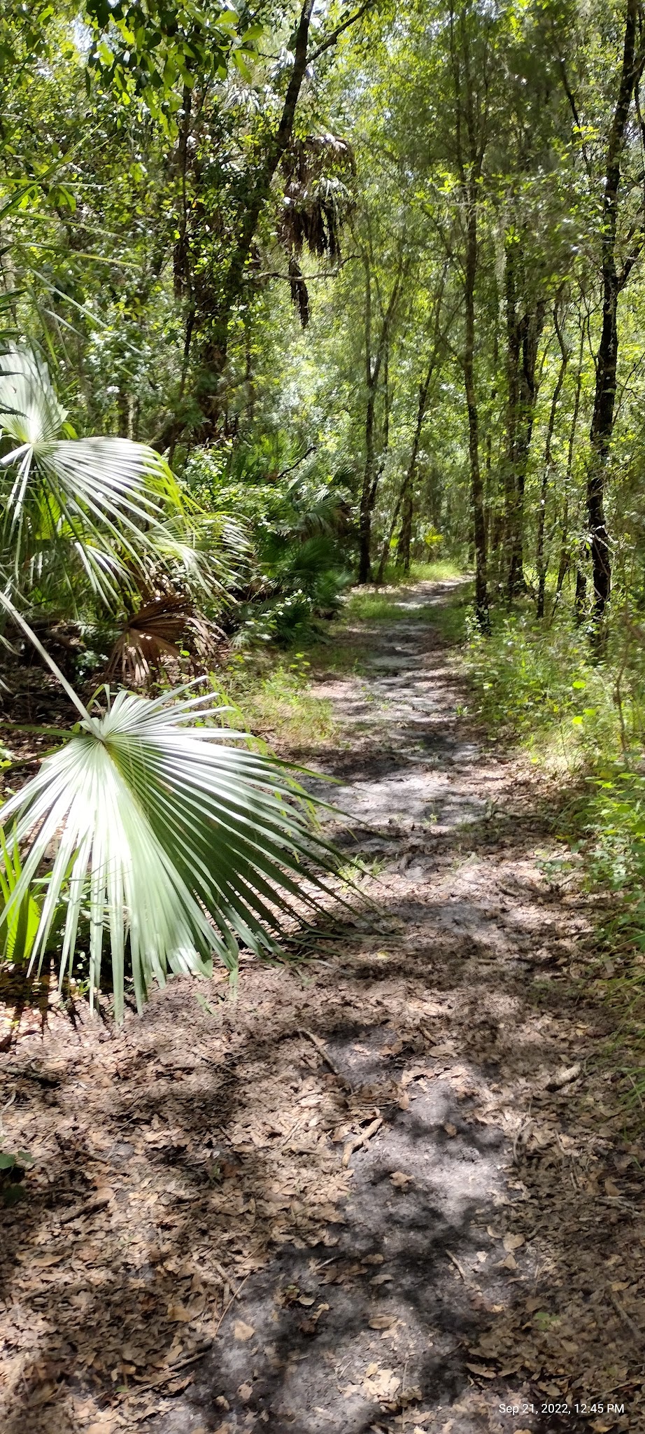Alafia River State Park Campground