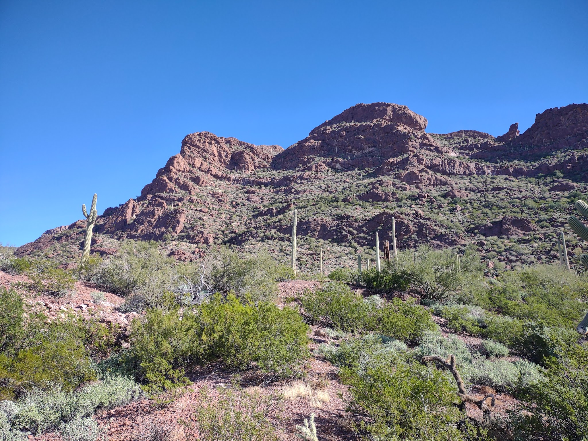 Camping in Sonoran Desert
