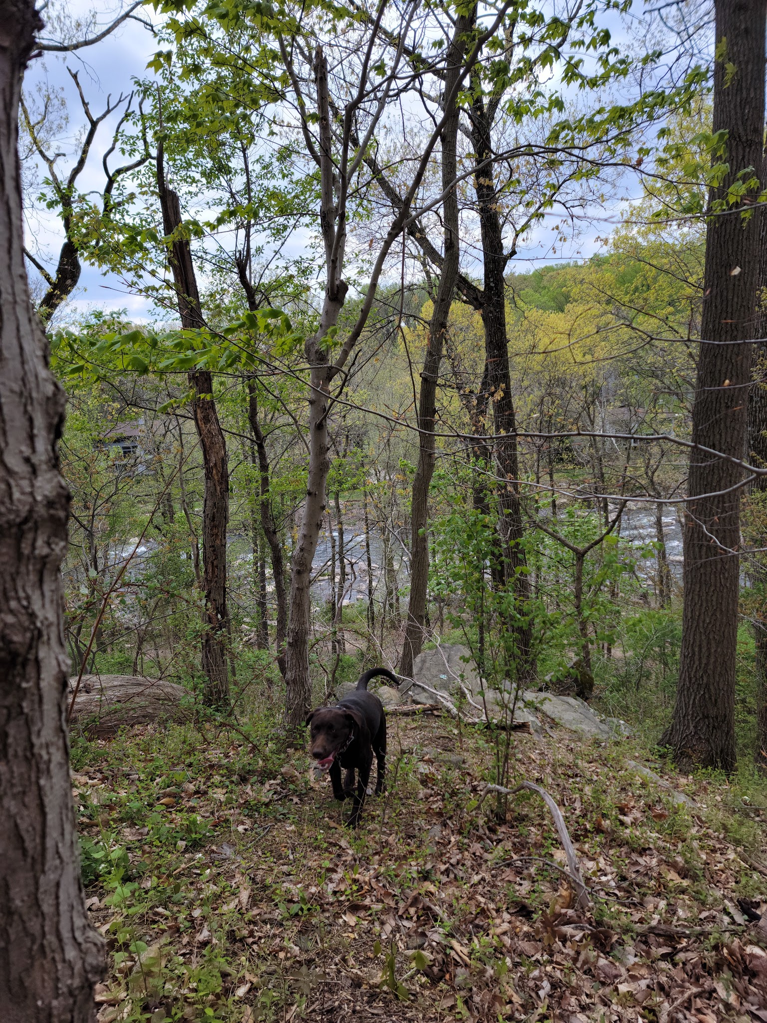 Alapocas Run State Park