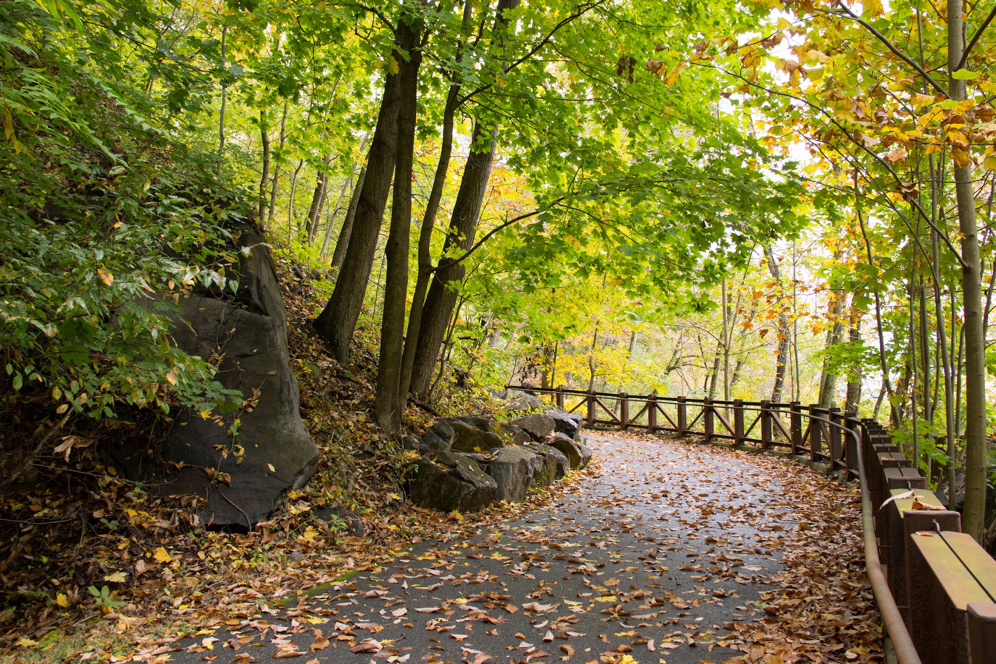 Alapocas Run State Park