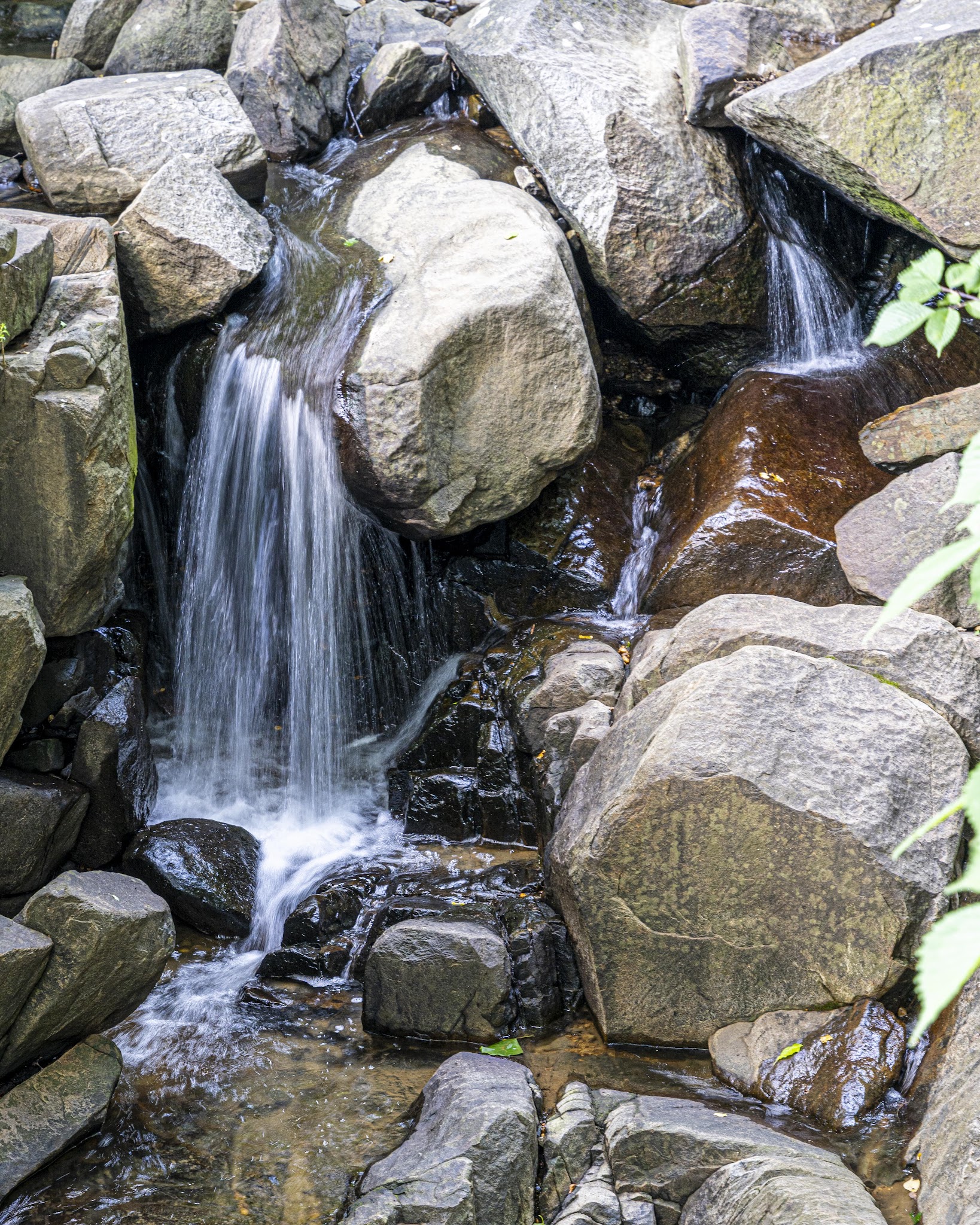 Alapocas Run State Park