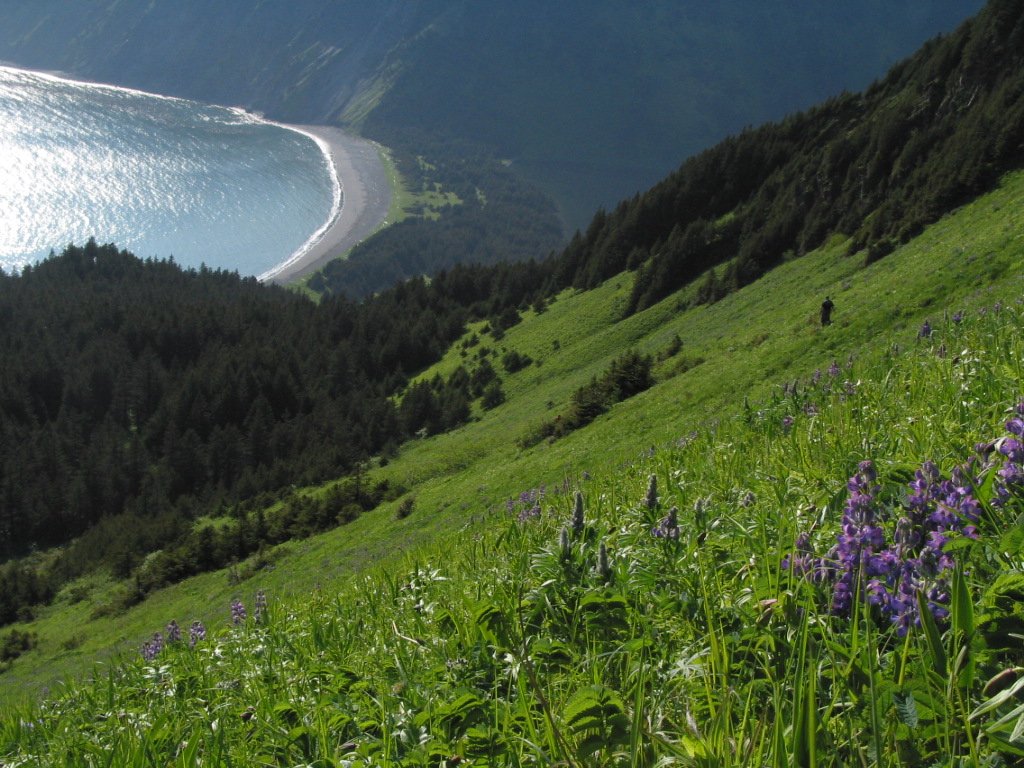 Afognak Island State Park