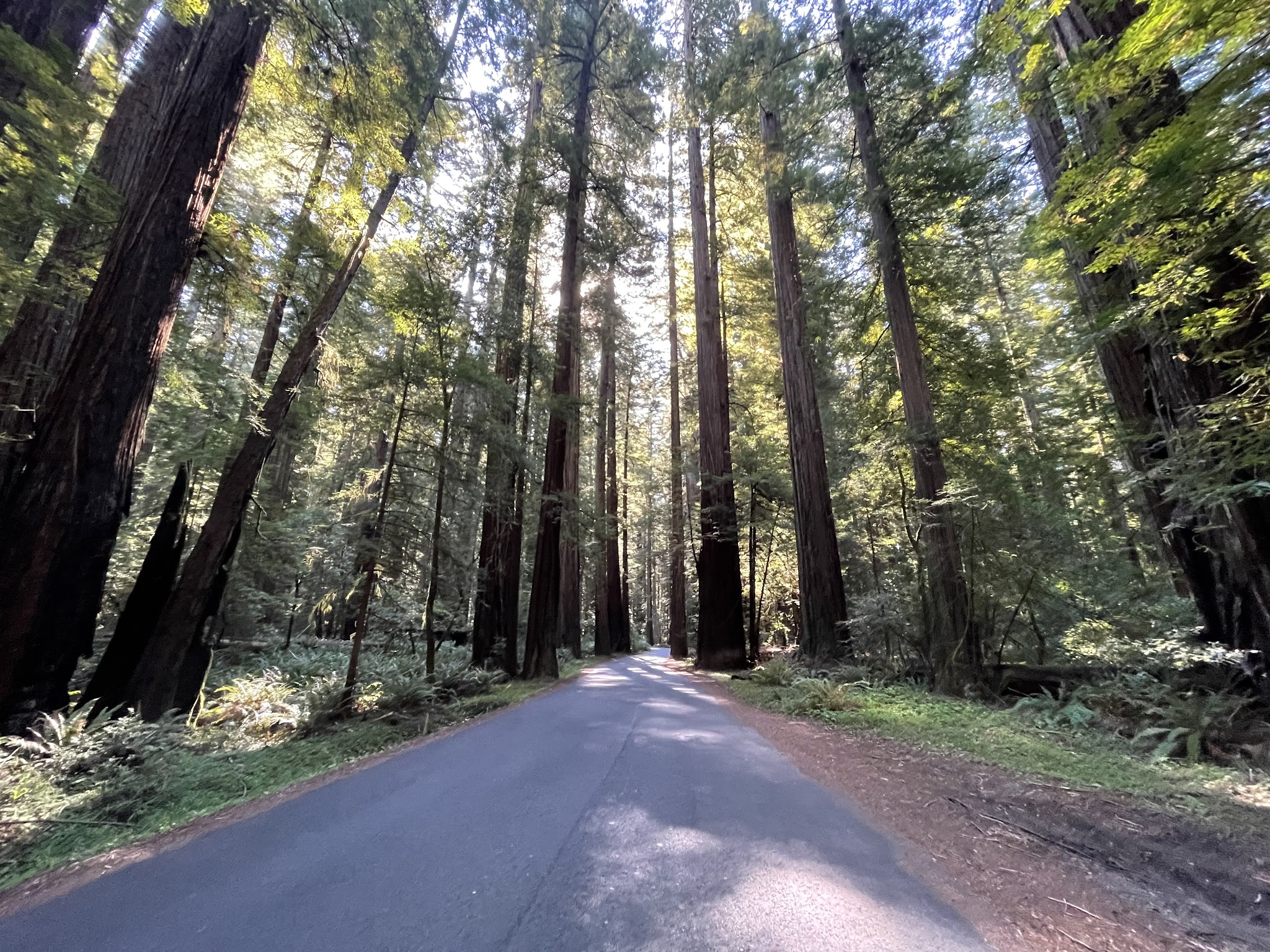 Albee Creek Campground