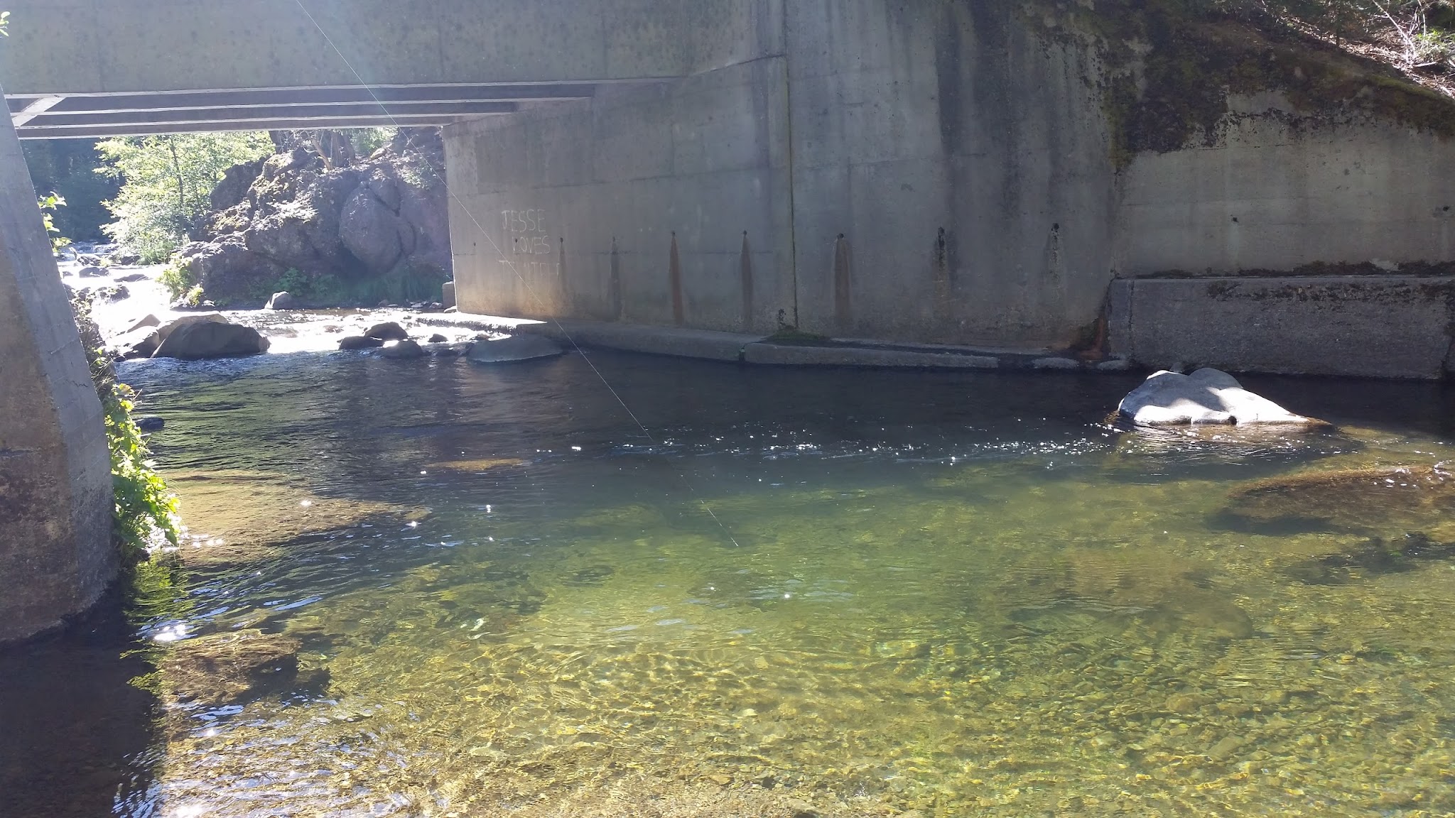 Alder Creek Campground