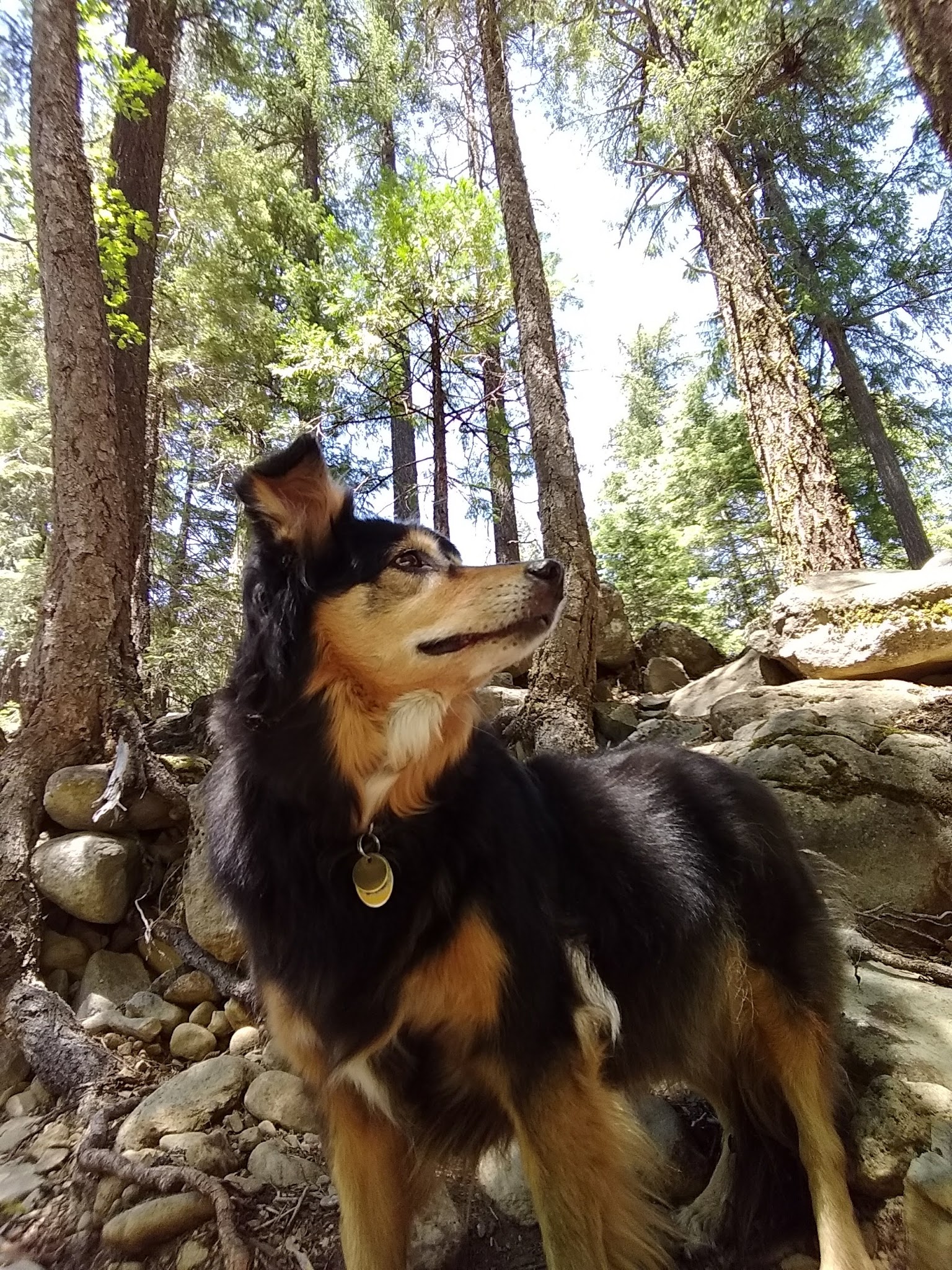 Alder Creek Campground