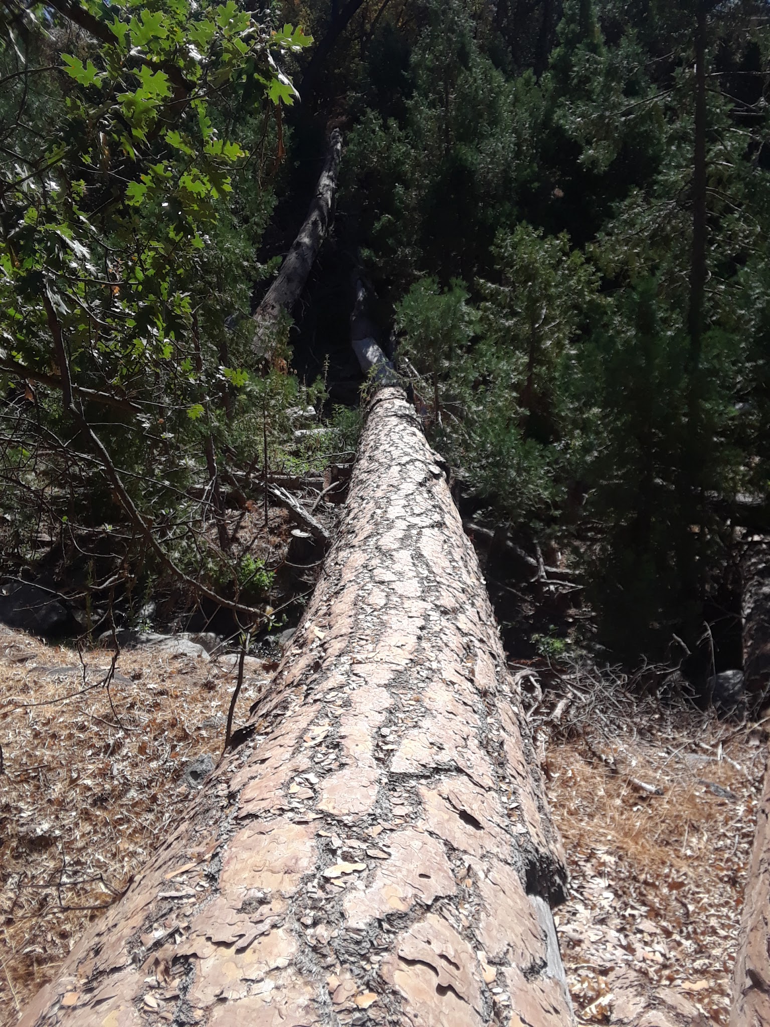 Cedar Creek Campground