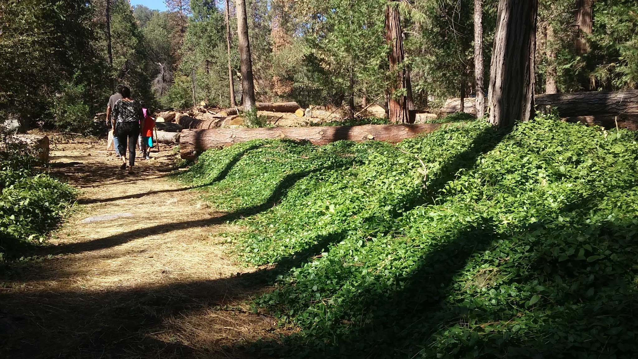 Cedar Creek Campground