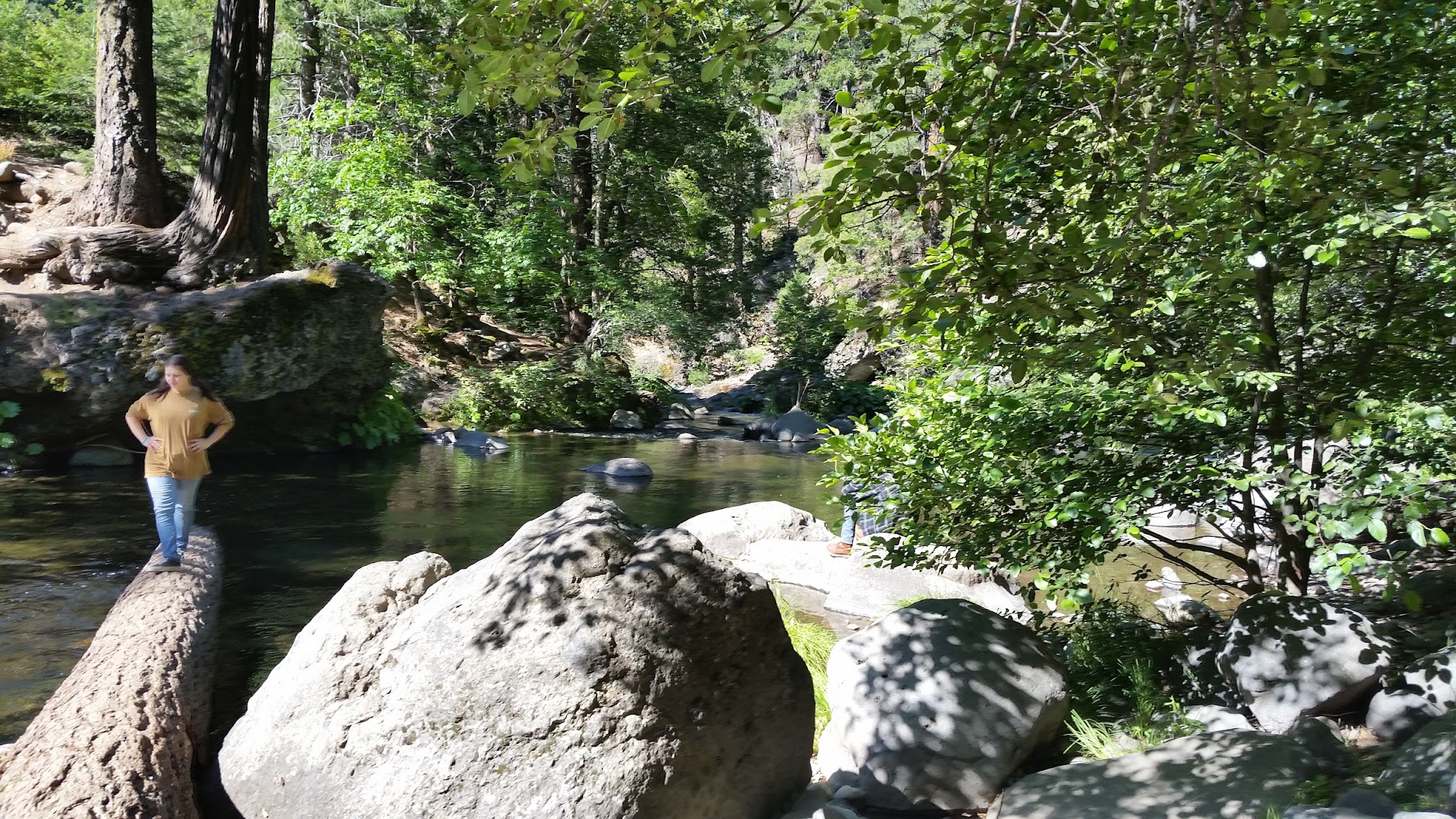Alder Creek Campground