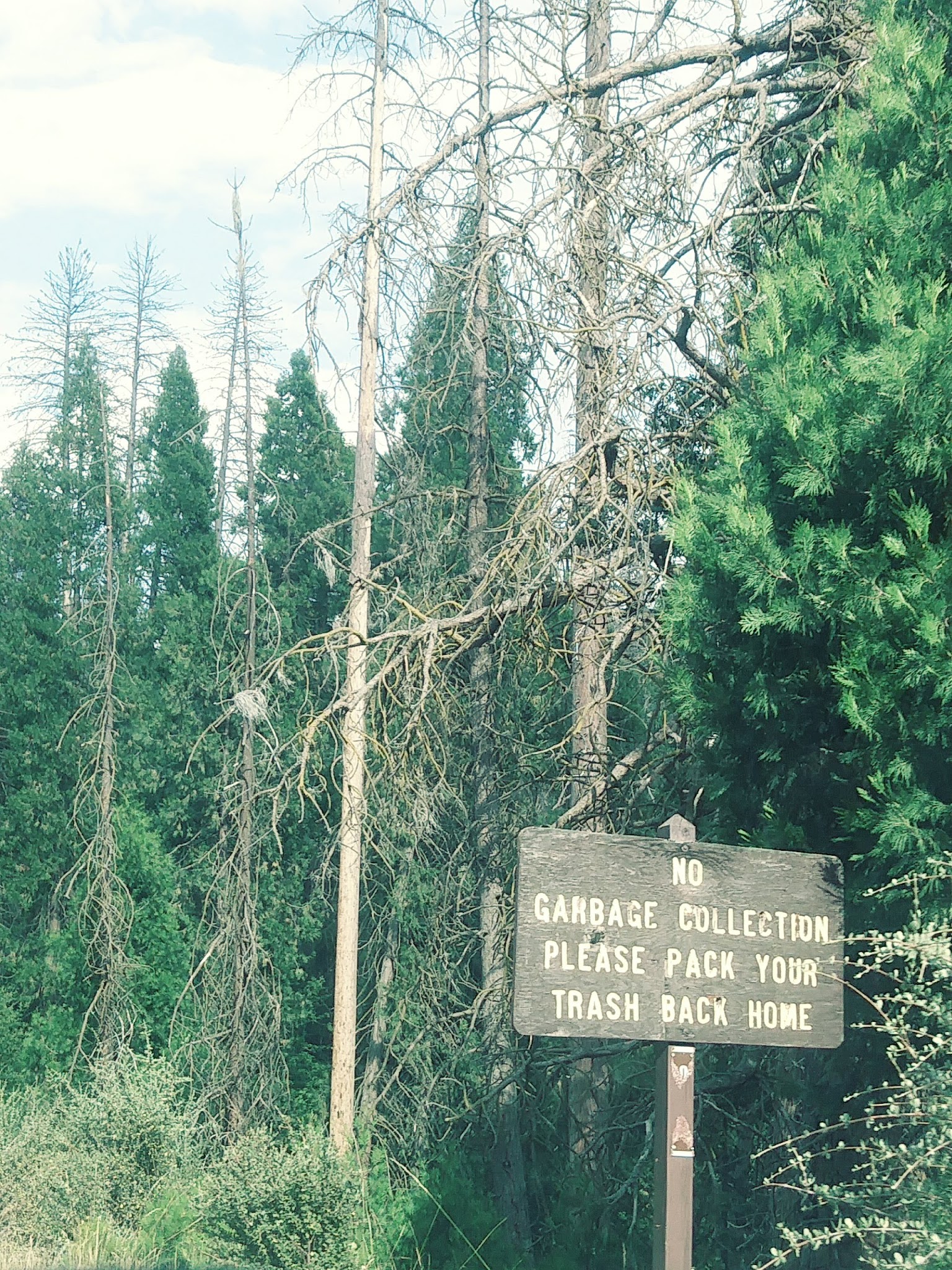 Cedar Creek Campground