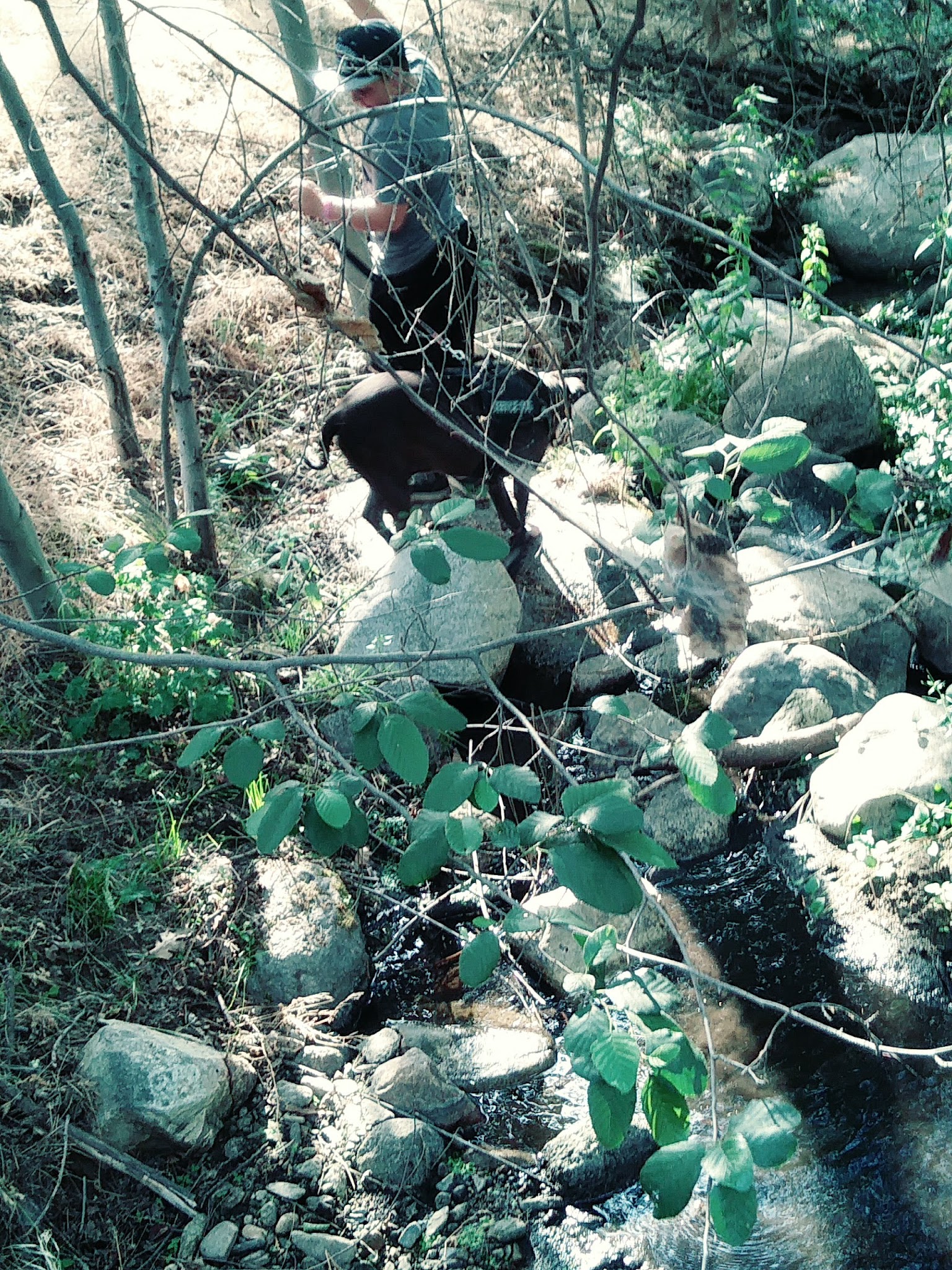 Cedar Creek Campground