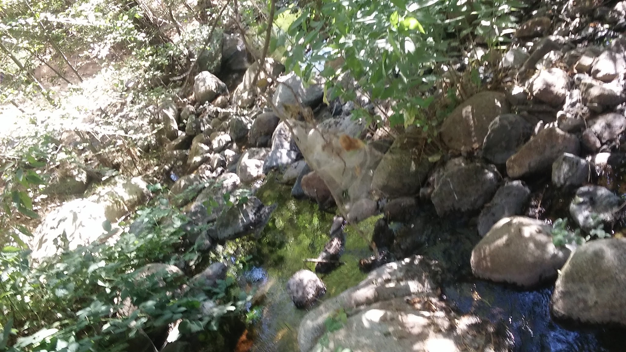 Cedar Creek Campground