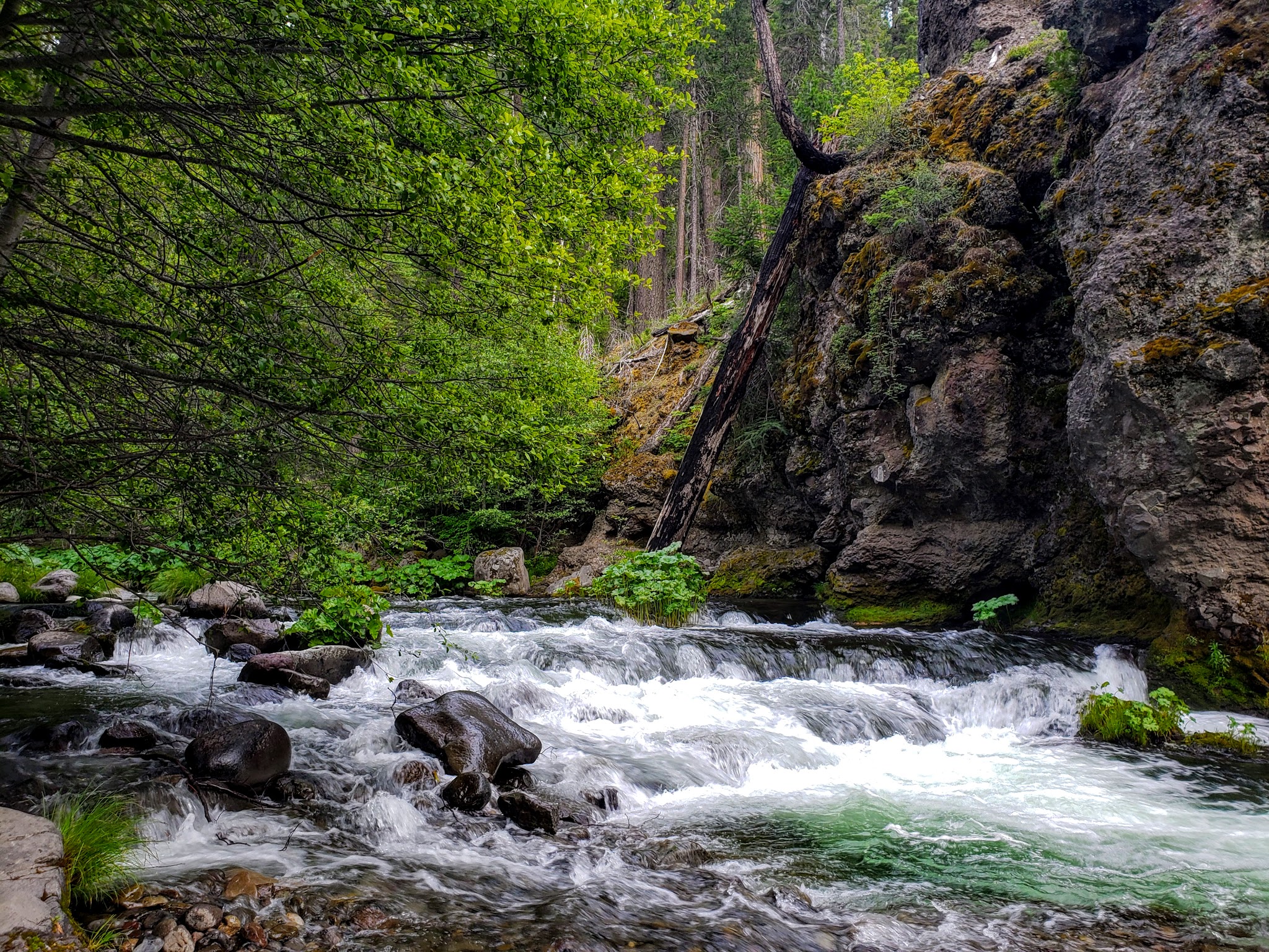 Alder Creek Campground