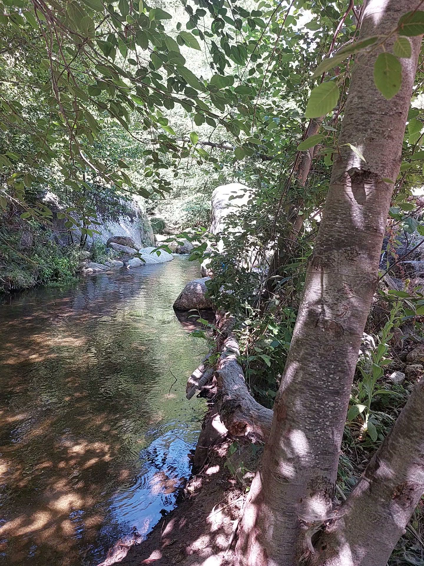 Cedar Creek Campground