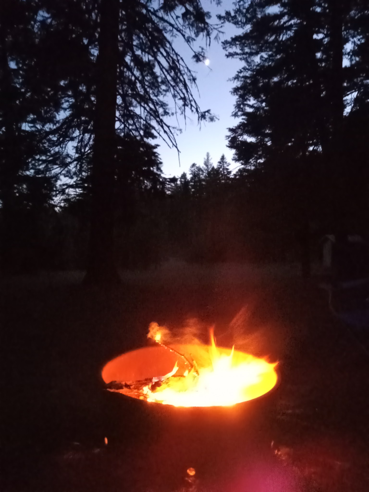 Alder Thicket Campground
