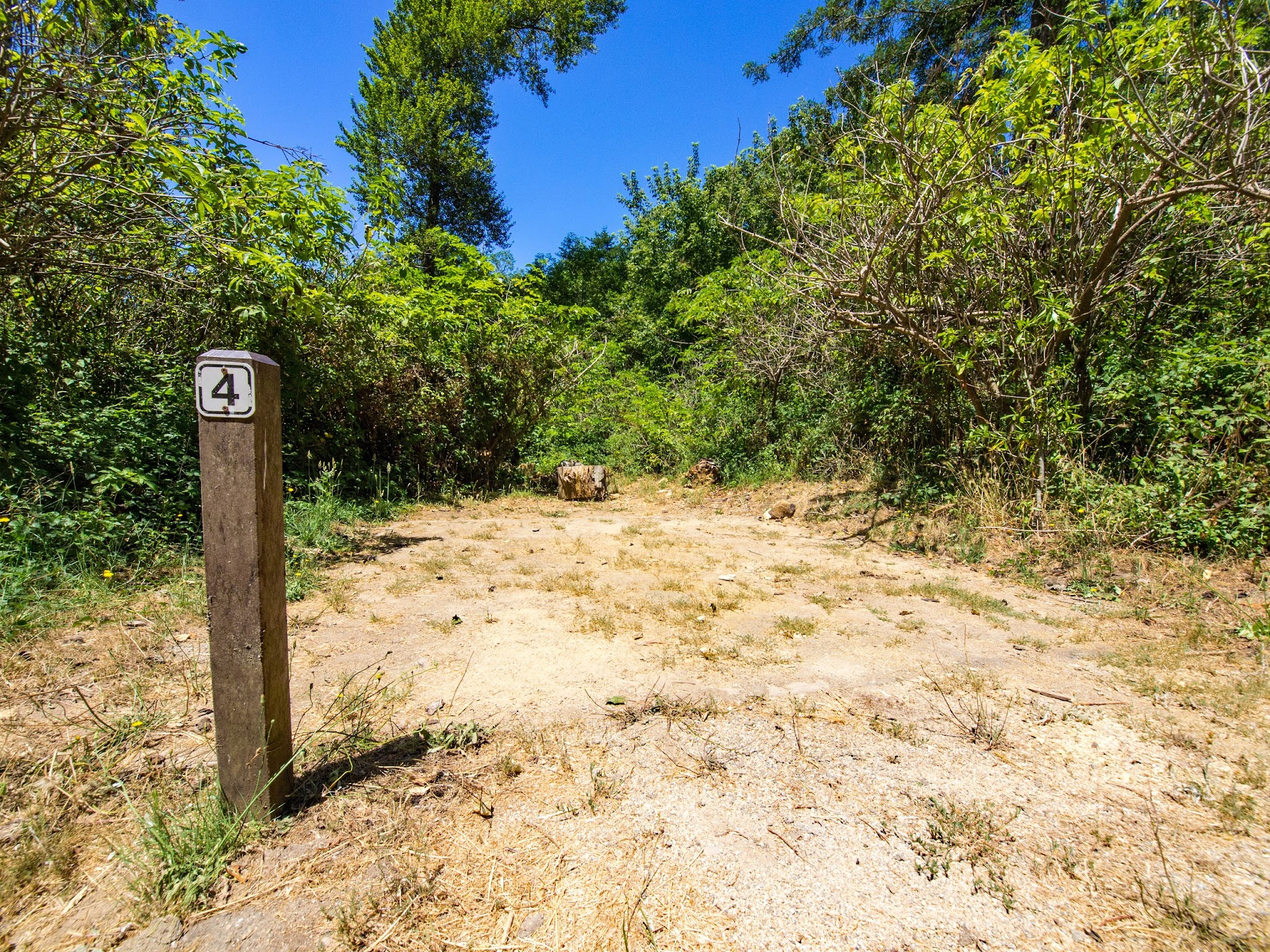 Alder Trail Campground