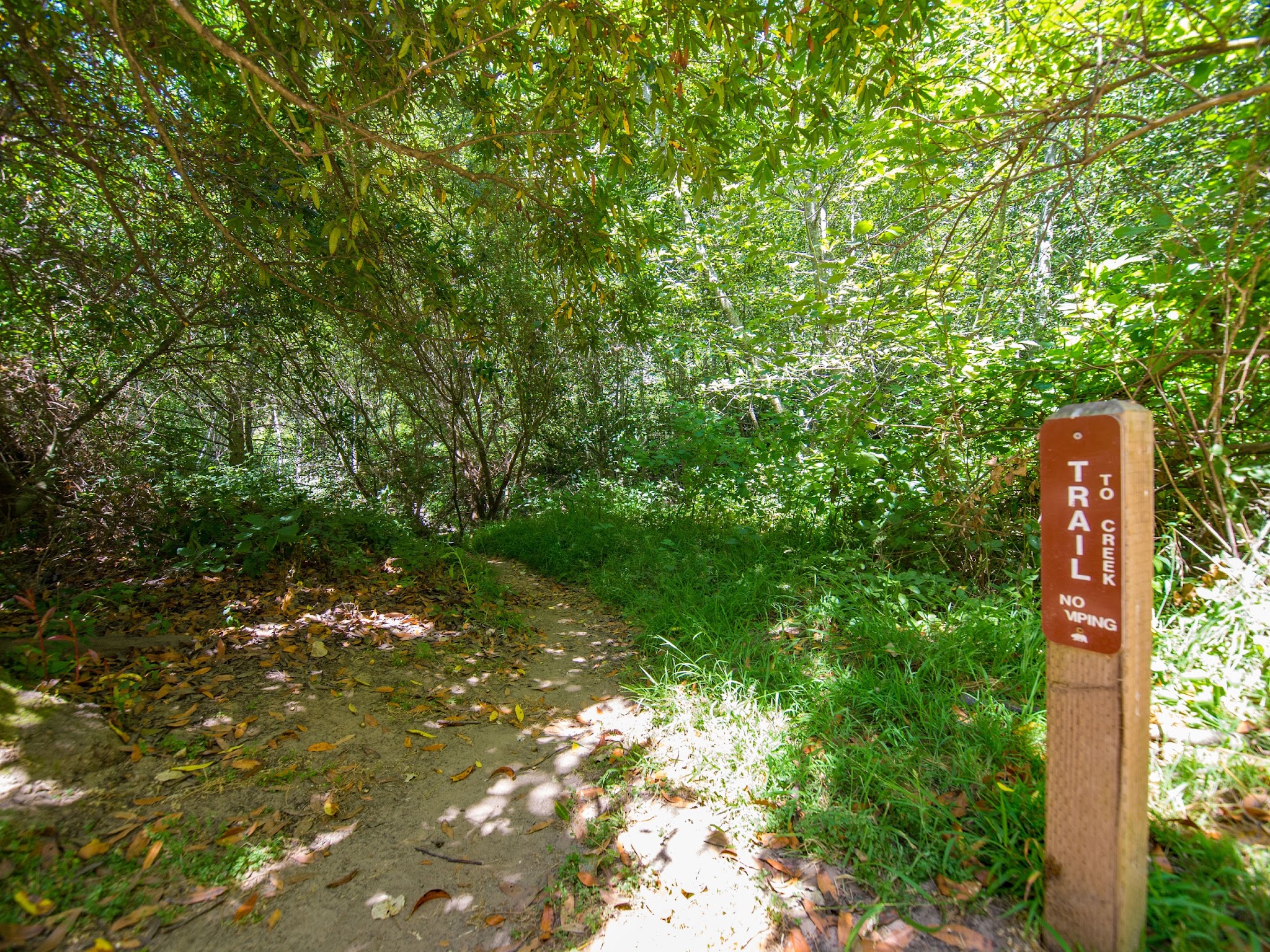 Alder Trail Campground